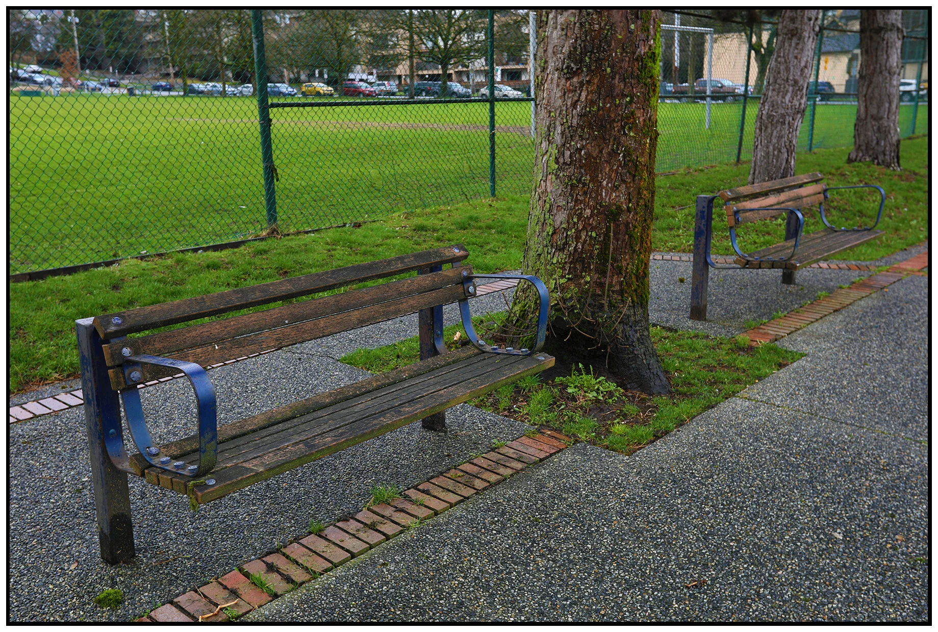 Benches_New West_Feb 5_2018_HDR_C4762_4x6s.jpg