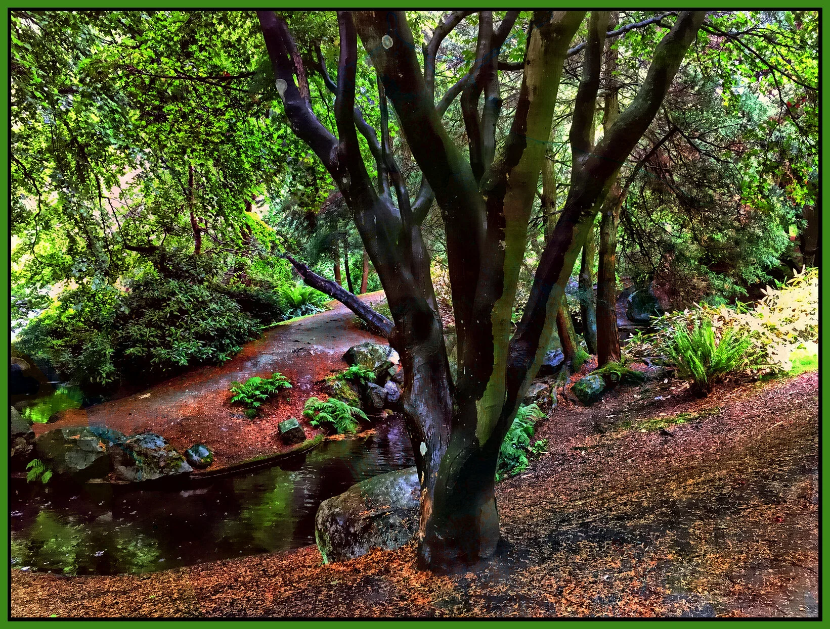 Tipperary Pk Trees New West_May 26_2021_iPhone_2612_peHdr2013_Aw_4x5.3s.jpg