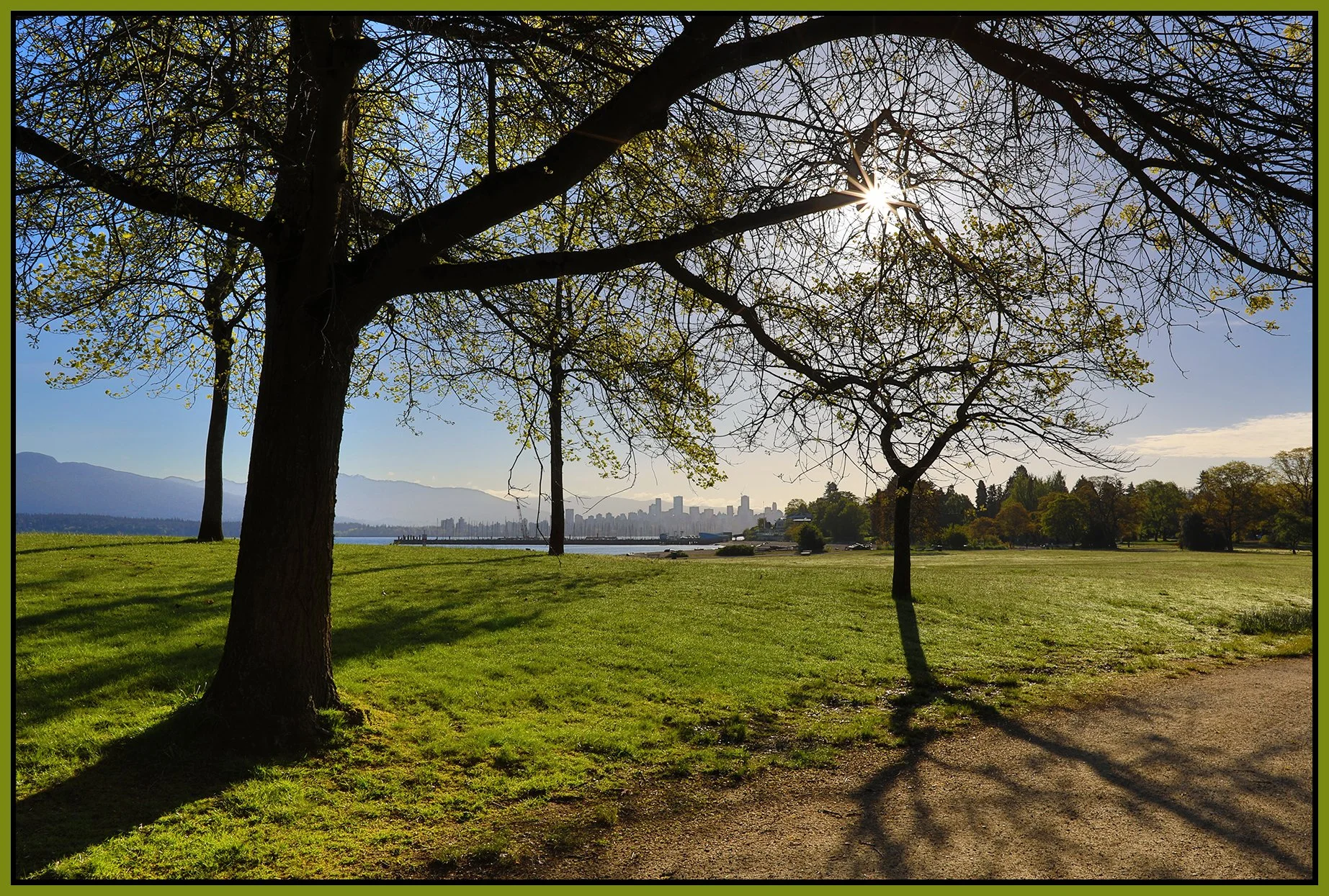 Trees in Jericho Beach Park_May 8_2024_HDR_4H8314_4x6s.jpg