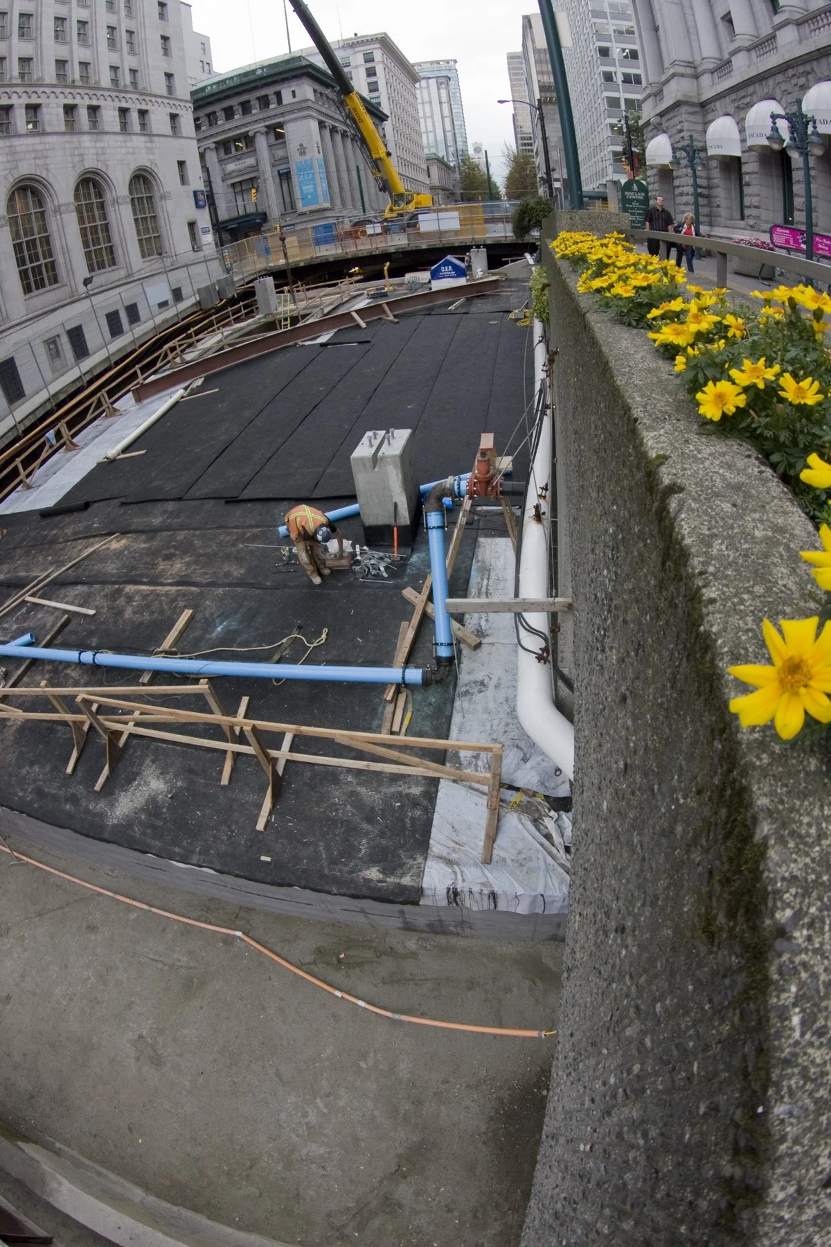 Granville Dig_Oct 2_08_4479_4x6.jpg