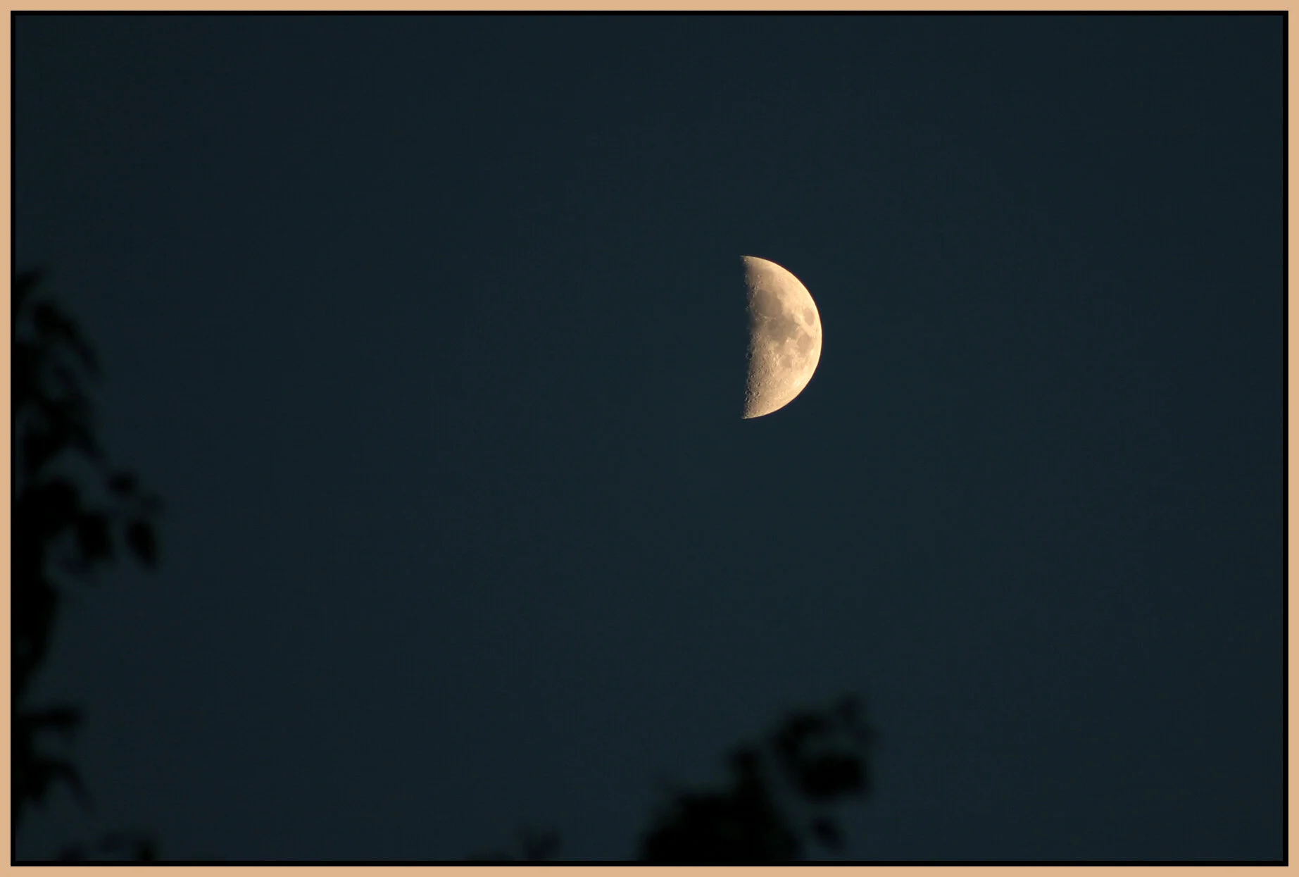 1-2 Moon_8281_4x6s.jpg