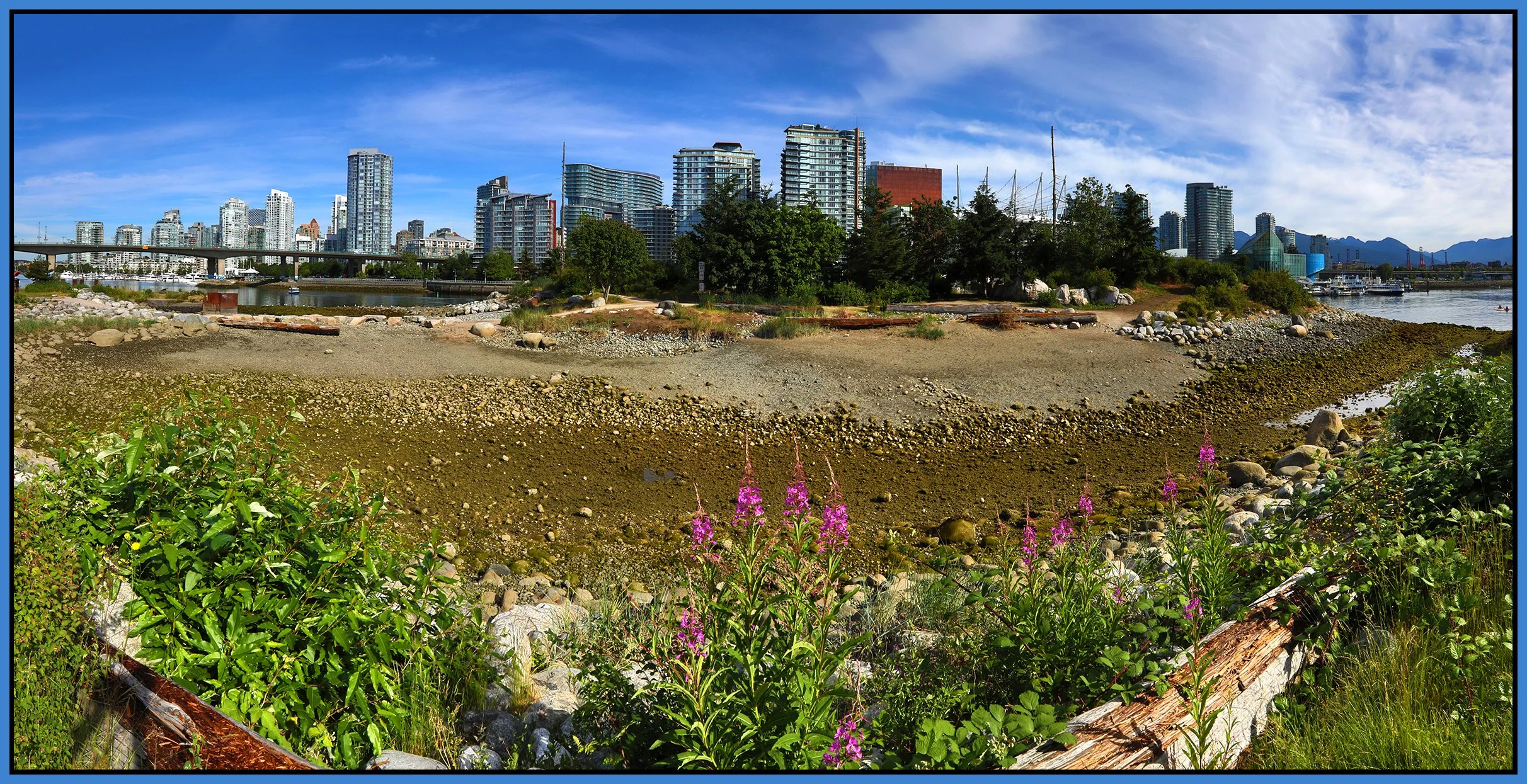 3.6 View Vancouver_Jun 12_2019_HDR_Pan_E0040_1_4x8s.jpg