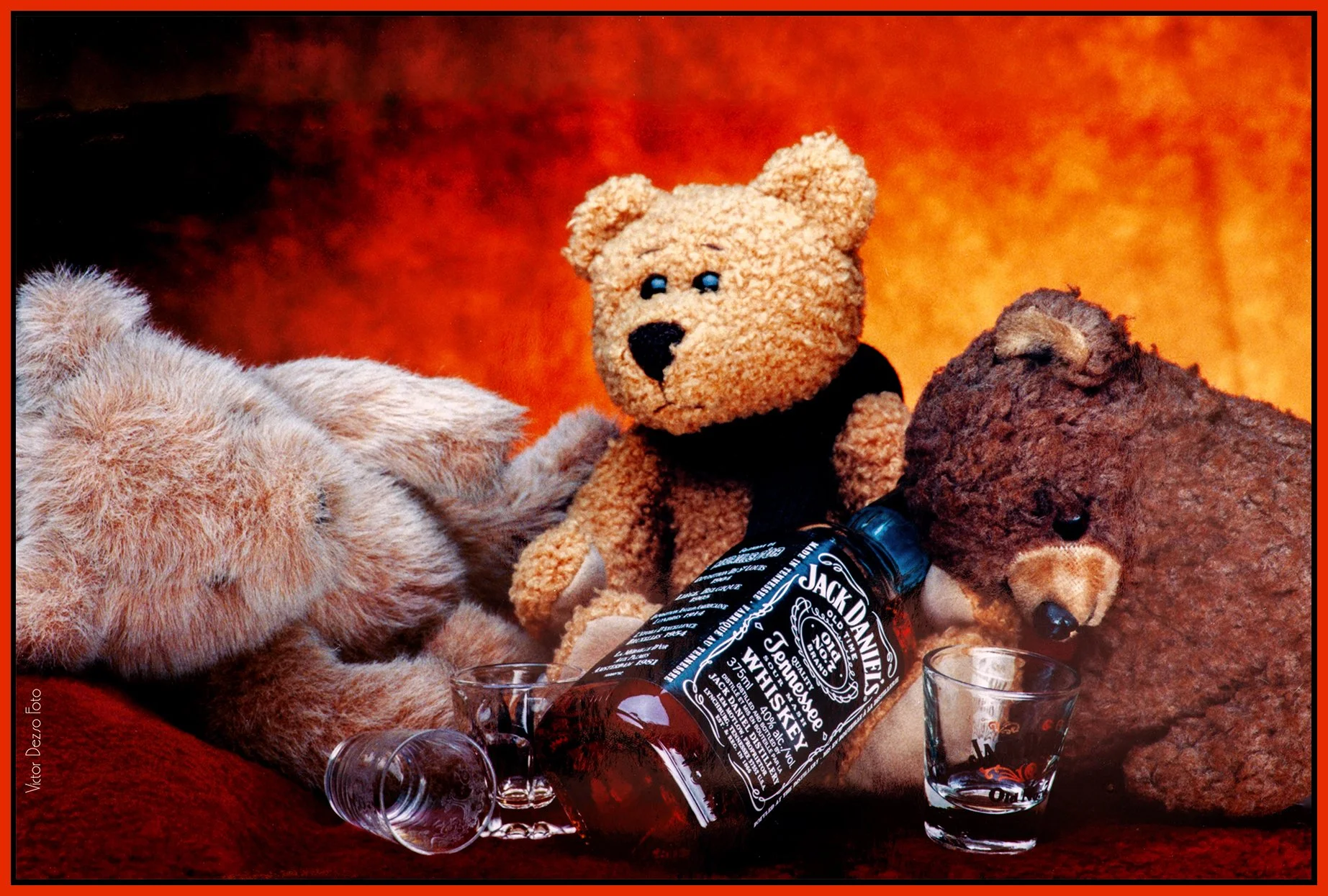Teddy Bears_Jan 21_2002_1686_peHyperstrip_4x6s.jpg