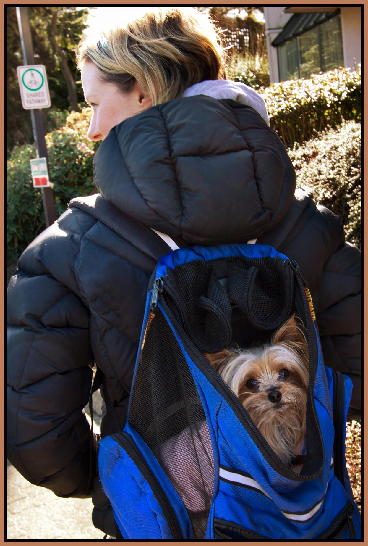 Doggy Backpack_Mar 3_2013_0701_1_peBls_4x6s.jpg