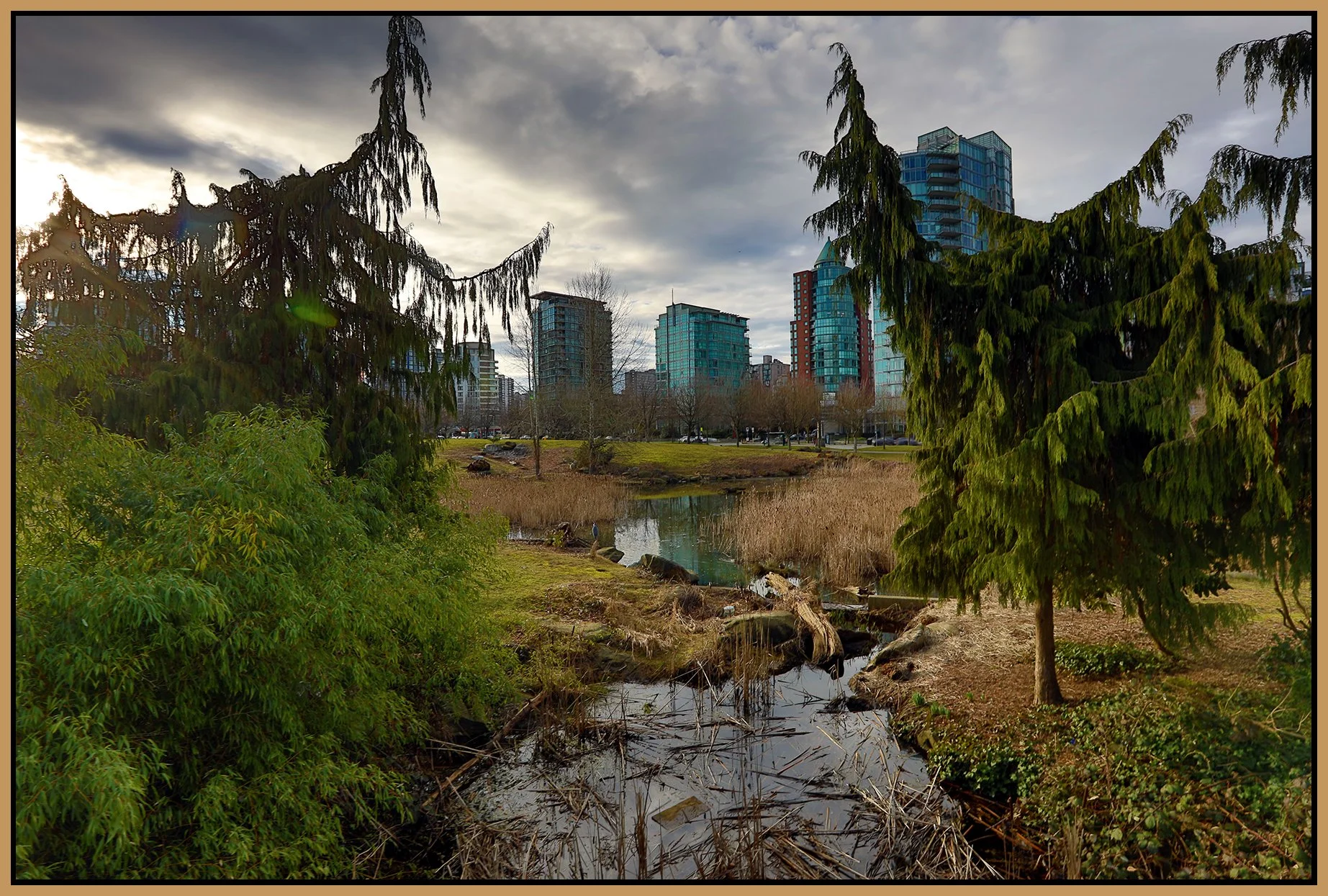 Devonian Park Bullrushes_Feb 17_2024_HDR_4H3587_4x6s.jpg