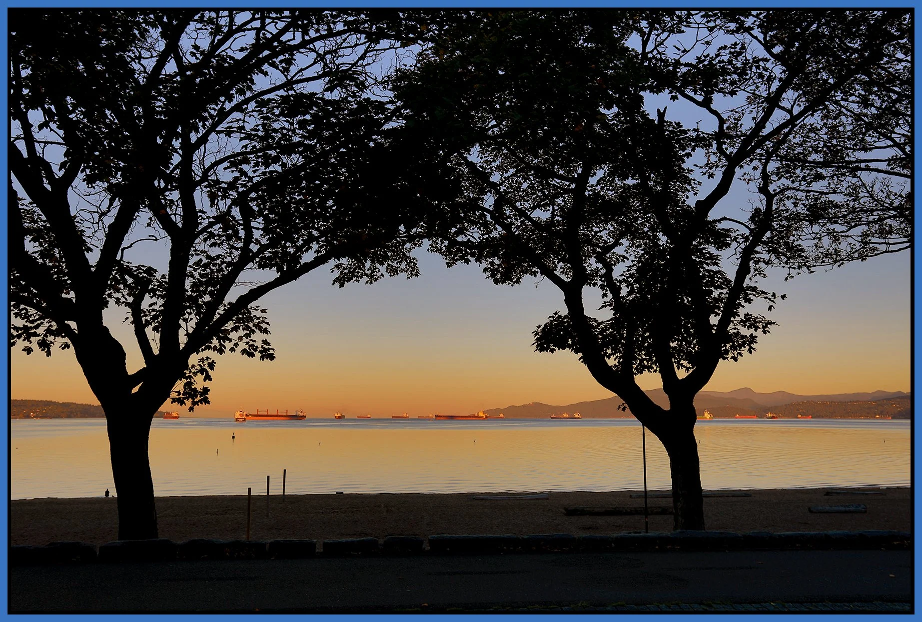 English Bay LkgW Trees_Oct 14_2025_HDR_4K4287_peNatB_4x6s.jpg
