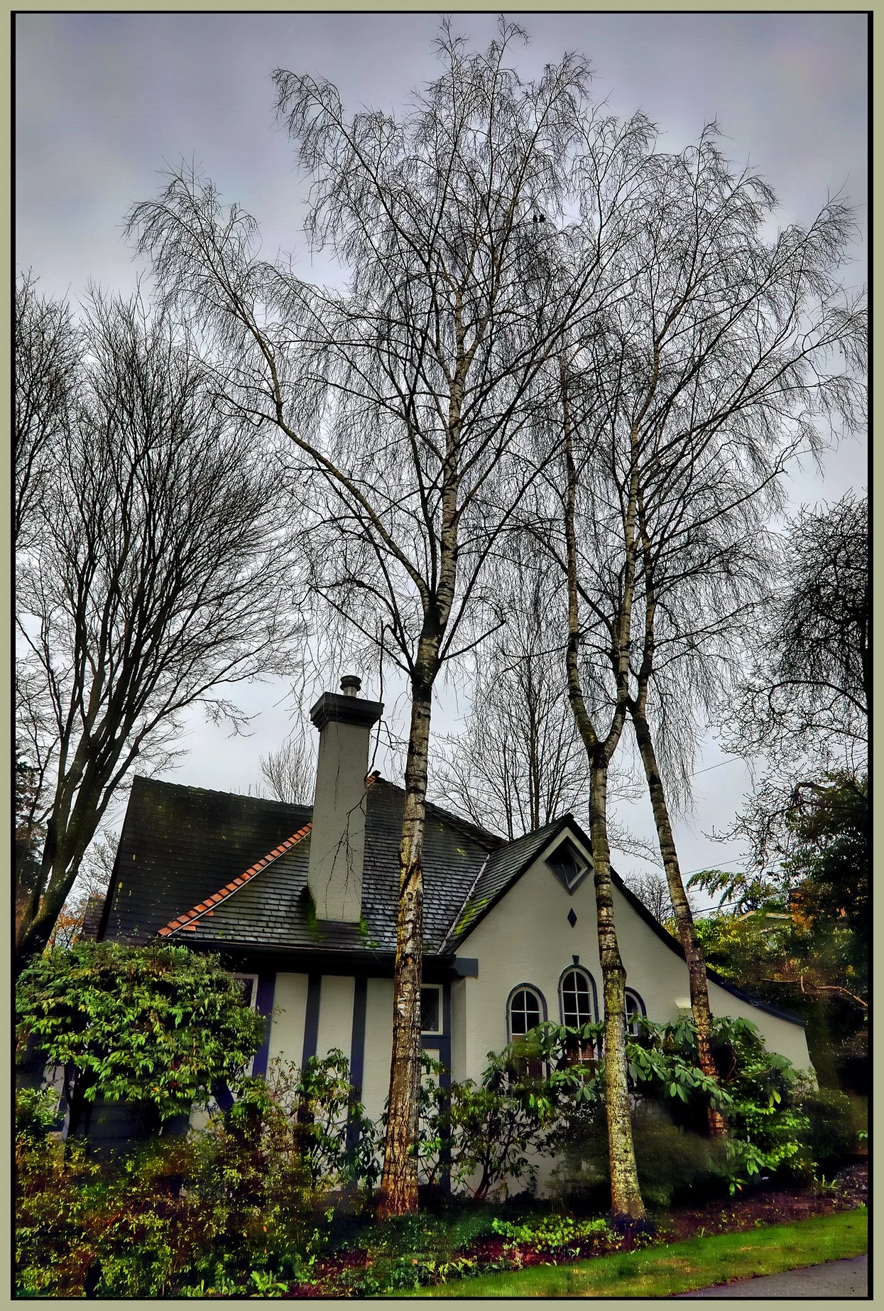 1820 Bayswater St Trees_Feb 1_2023_HDR_5D3422_peHdr2013_1_4x6s.jpg