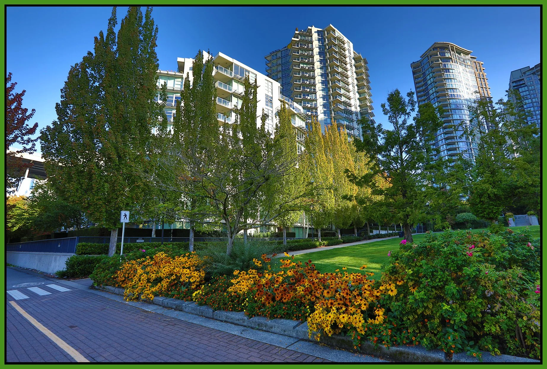 Flowers False Creek_Sep 24_2024_HDR_5E1374_4x6s.jpg