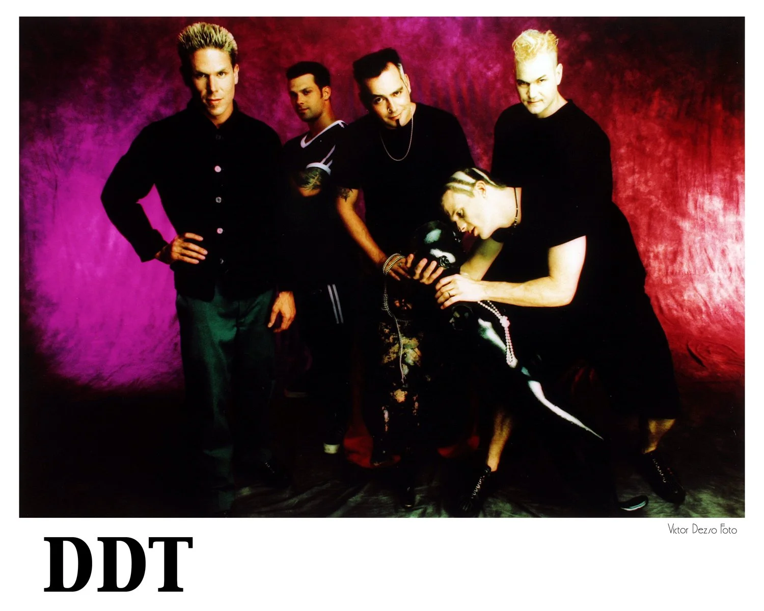DDT_7332_s.jpg