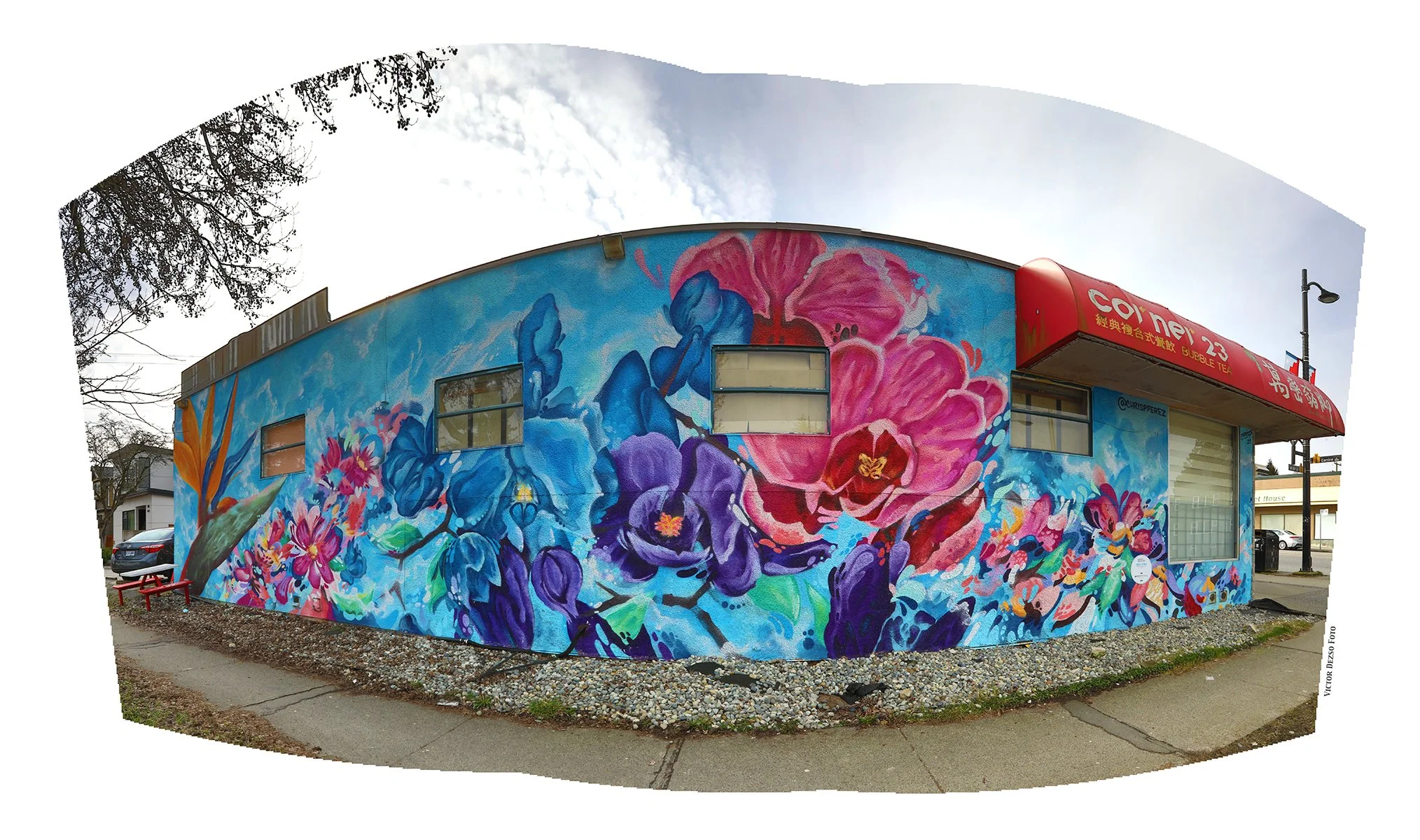 Cambie St Mural_Feb 22_2023_HDR_Pan_5D4606_4x7.jpg
