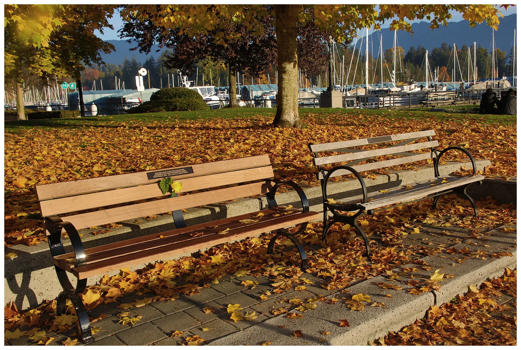 Benches in Coal Harbour_Oct 21_2018_HDR_A9758_4x6s.jpg