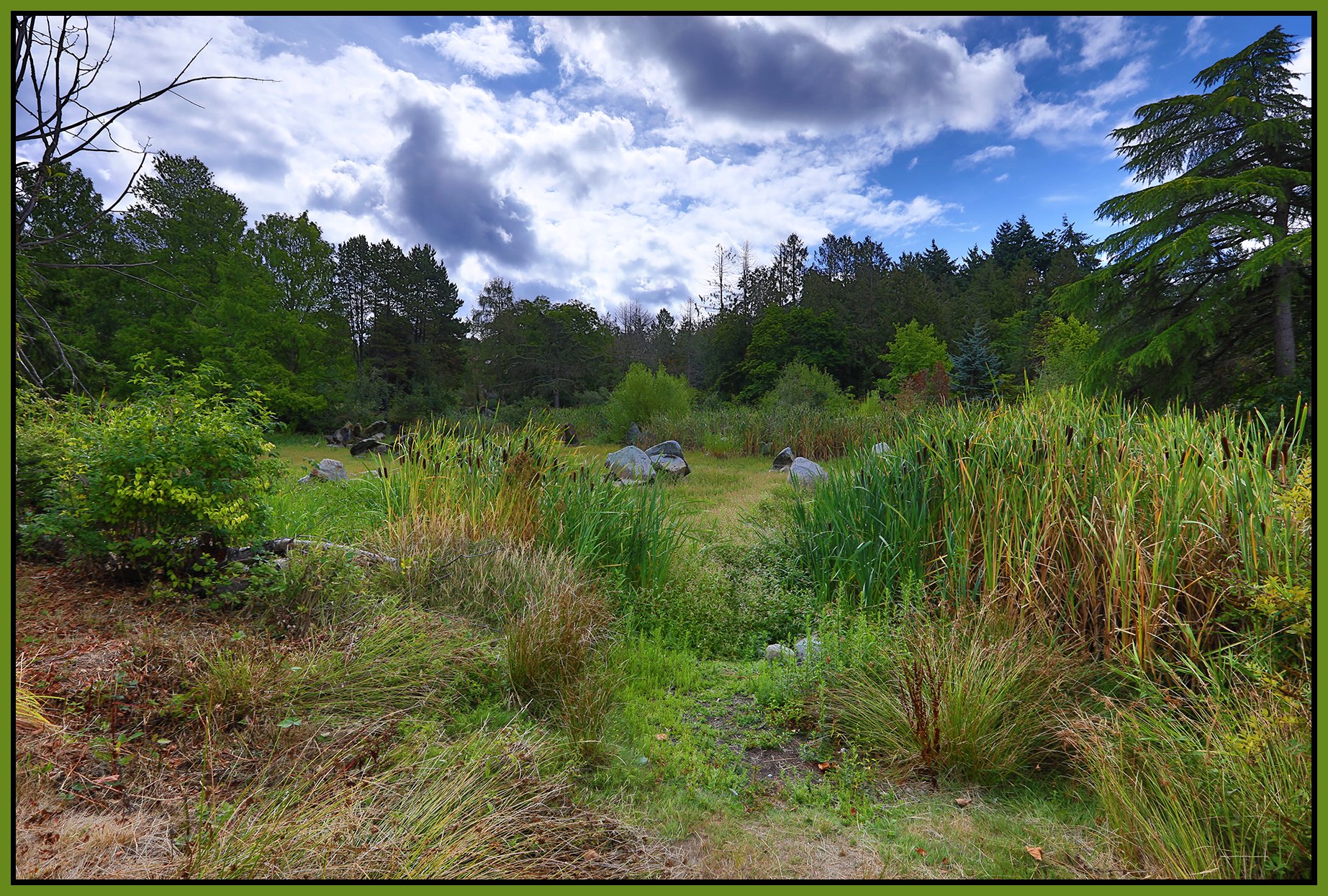 Charleson Park Pond_Aug 17_2025_HDR_4K1564_4x6s.jpg