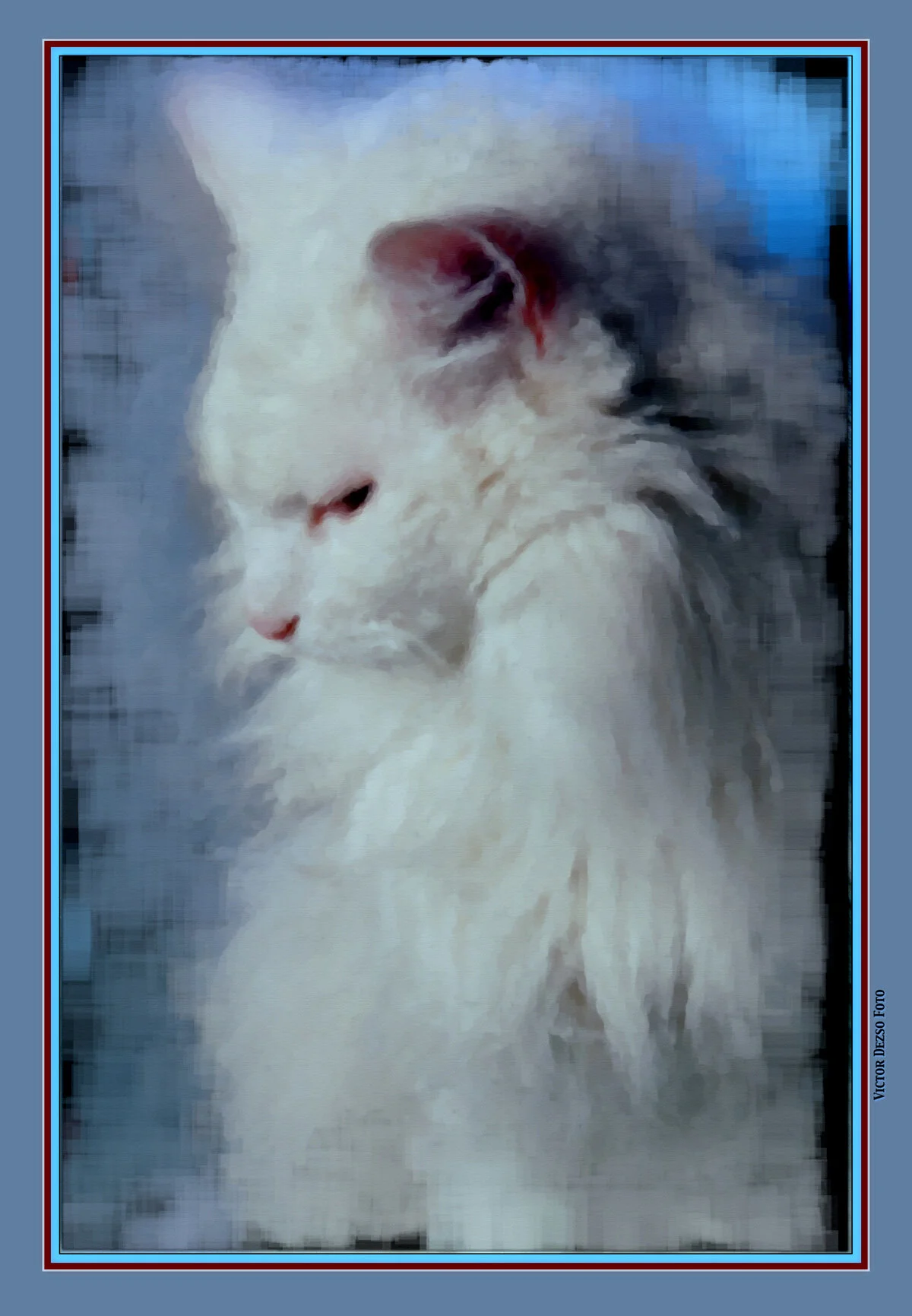 Beau_Apr 28_1998_2_2_4x6s.jpg