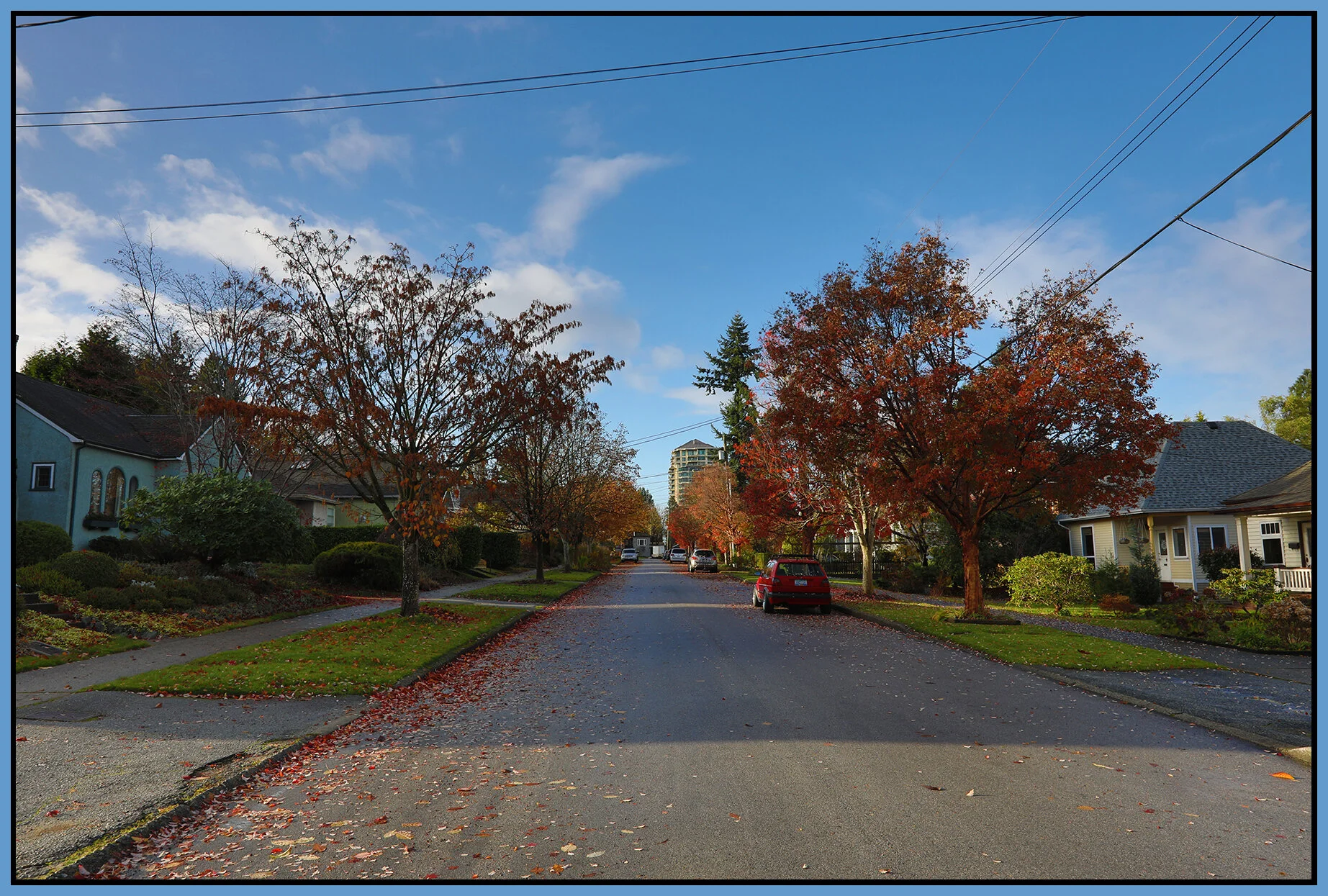 New West Houses & Trees_Nov 15_2020_HDR_4G4792_4x6s.jpg