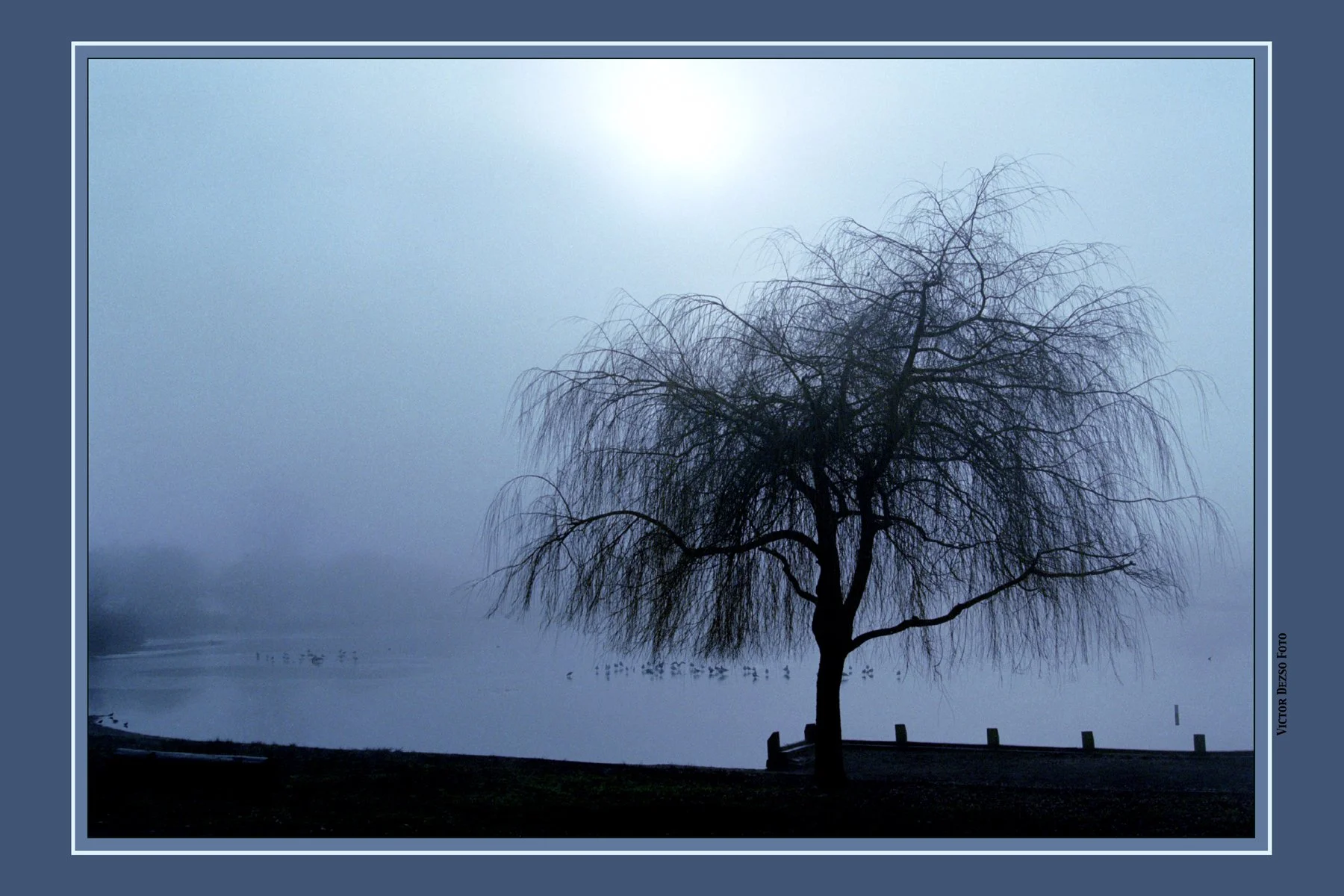 Trout Lake_27_2_4x6.jpg