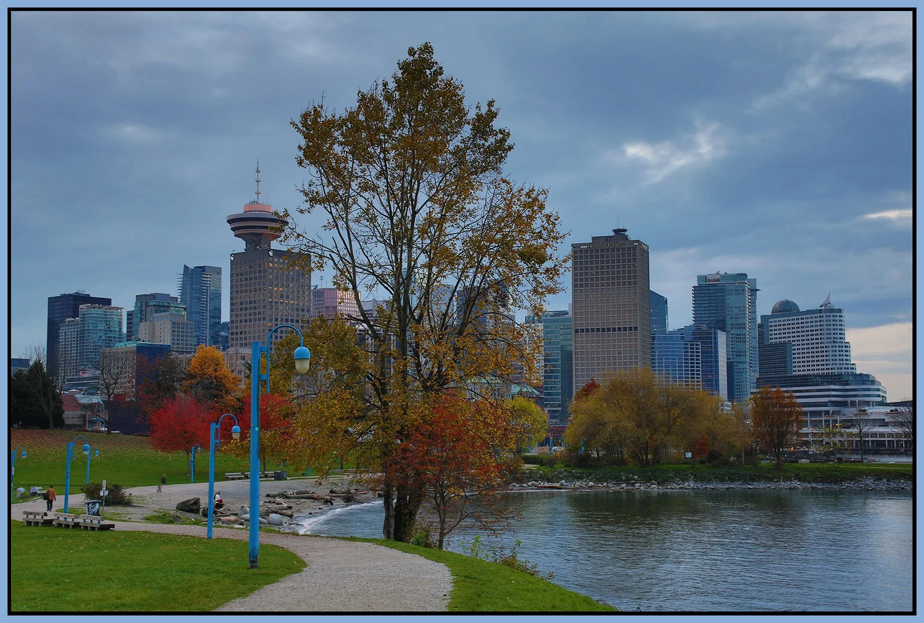 Crab Park Tree LkgSW_Nov 8_2015_HDR_H0086_4x6s.jpg