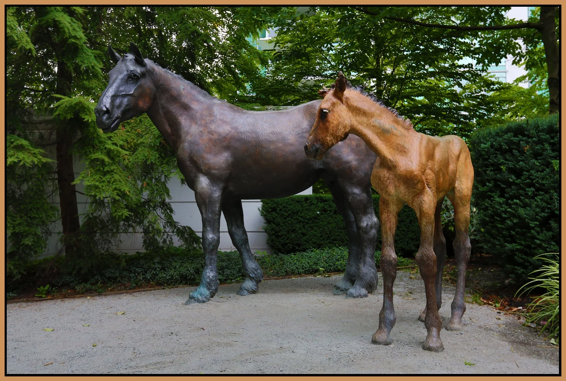 Bayshore Horses_Aug 28_2016_HDR_L7516_4x6s.jpg