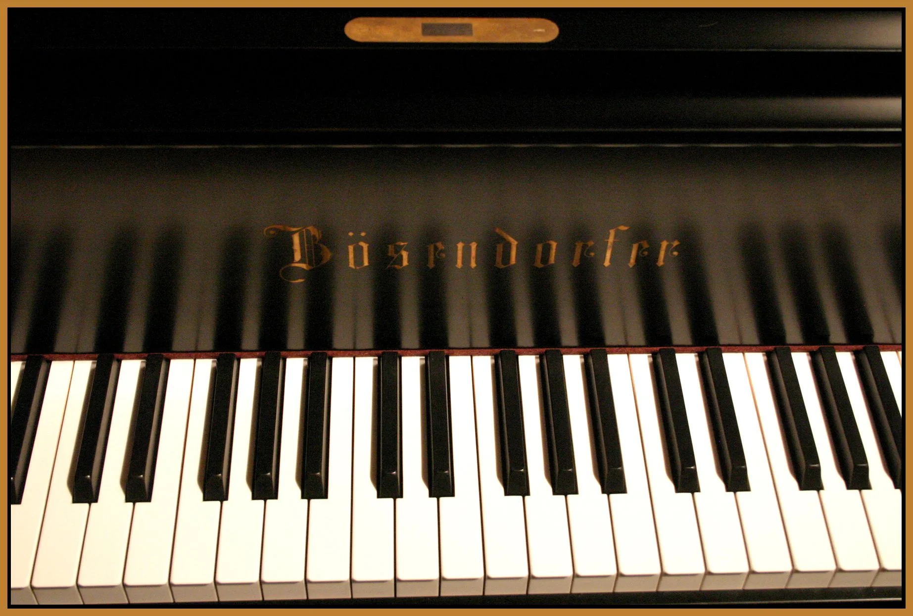 Dosendorfer Piano_9122_4x6s.jpg