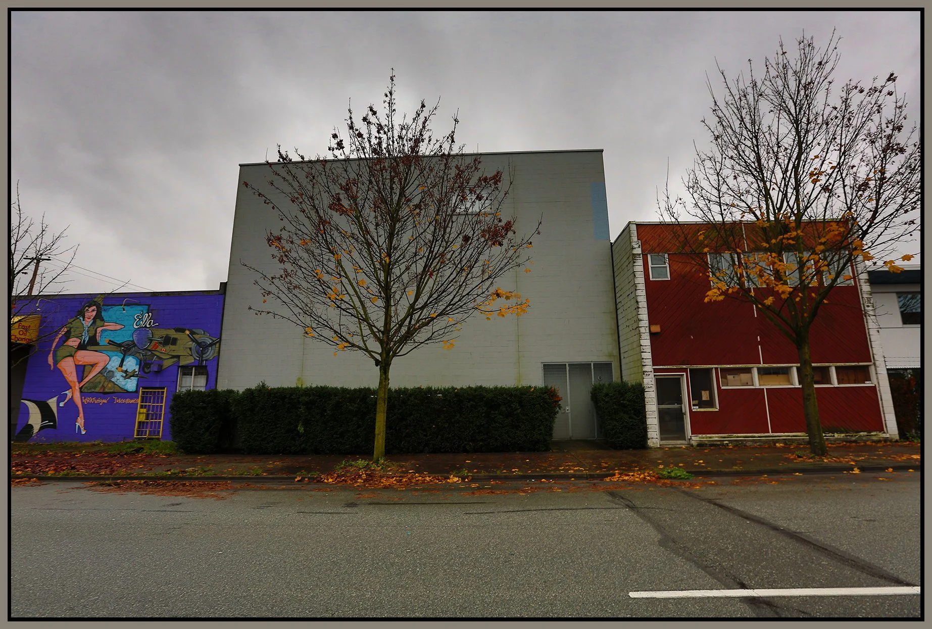 790 Powell St Trees_Nov 14_2015_HDR_H2122_4x6s.jpg