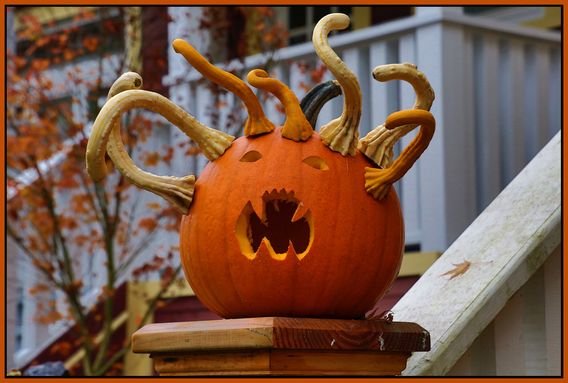 Halloween Pumpkin_Nov 3_2016_HDR_L1936_4x6s.jpg