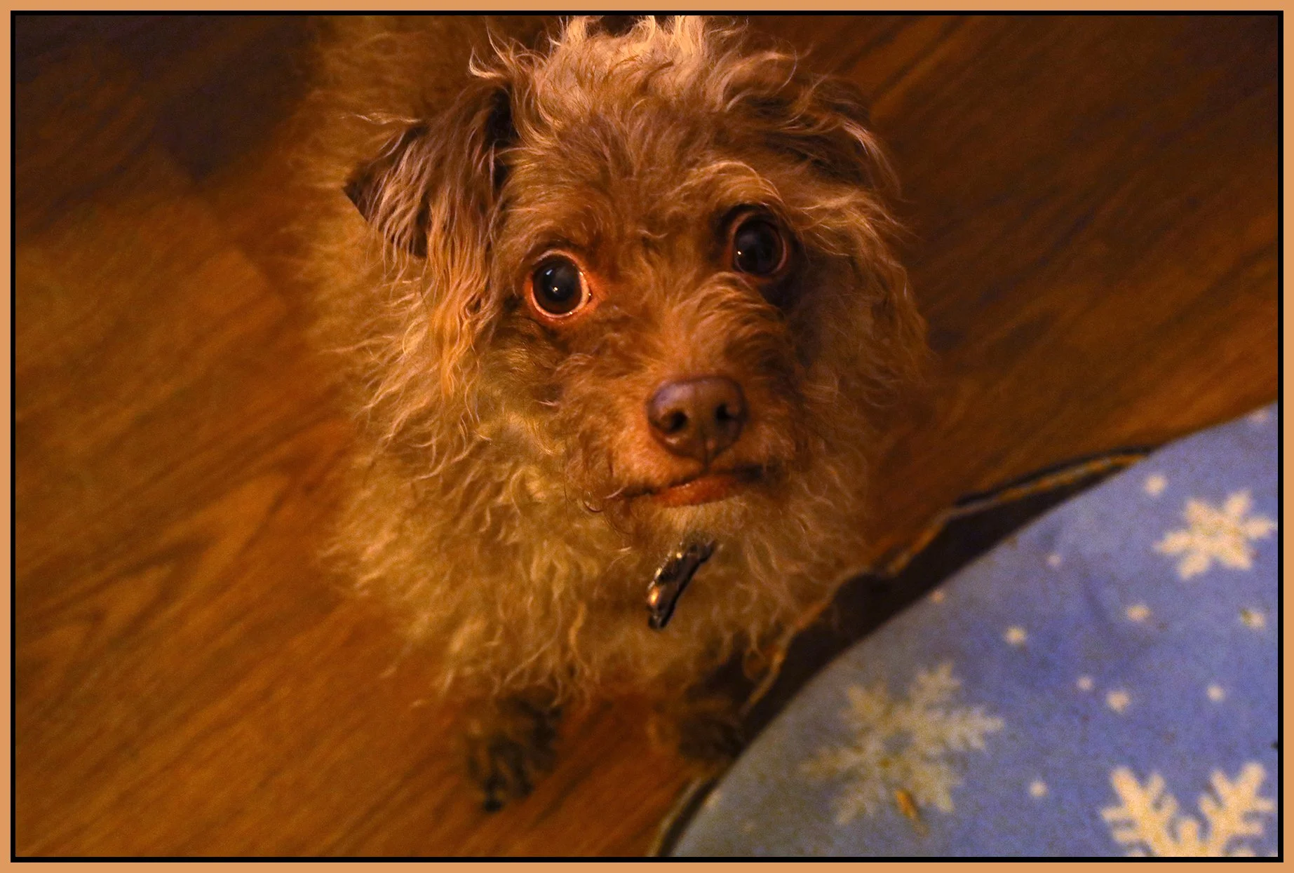 Frances_Jan 3_2022_HDR_4G5775_4x6s.jpg