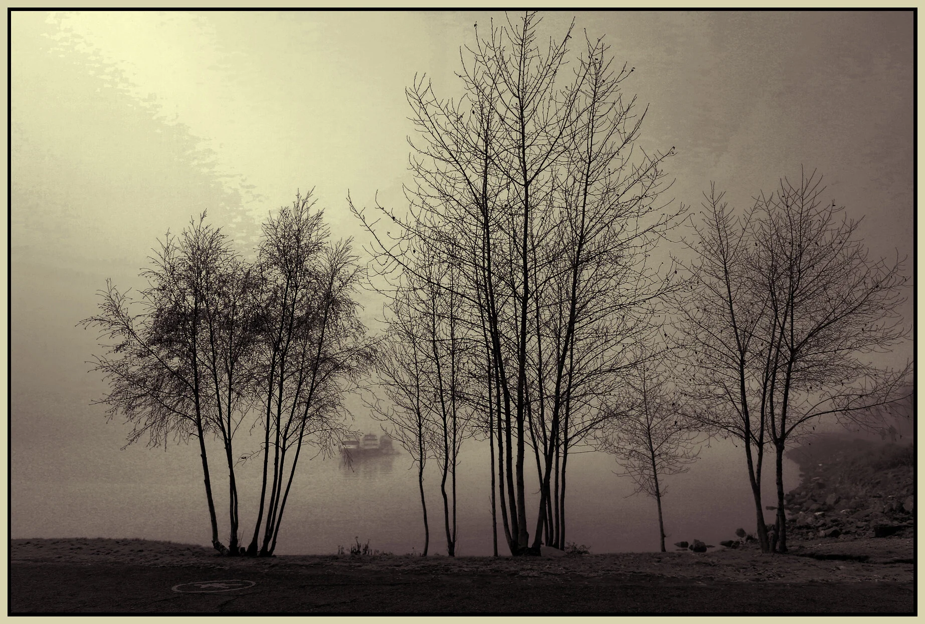 6 View Trees_Jan 1_2016_HDR_K1914_peHcs_4x6s.jpg