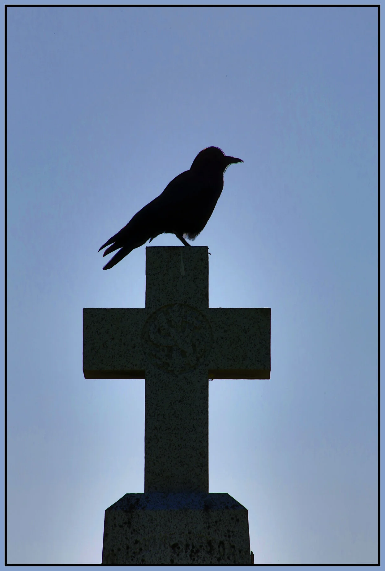 Black Bird on Cross_May 28_2017_HDR_L5102_4x6s.jpg