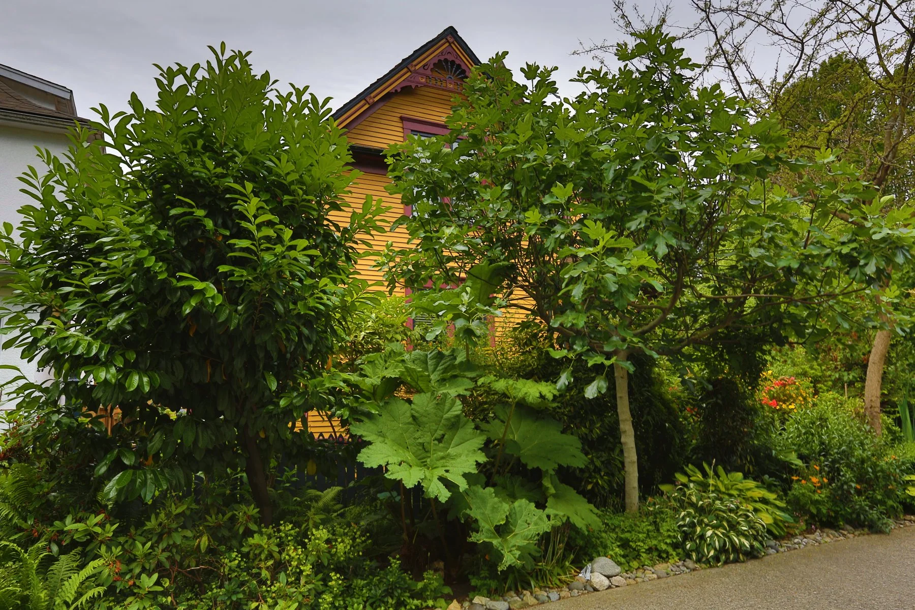 602 Princess_Jun 23_2013_HDR_B0540_4x6.jpg