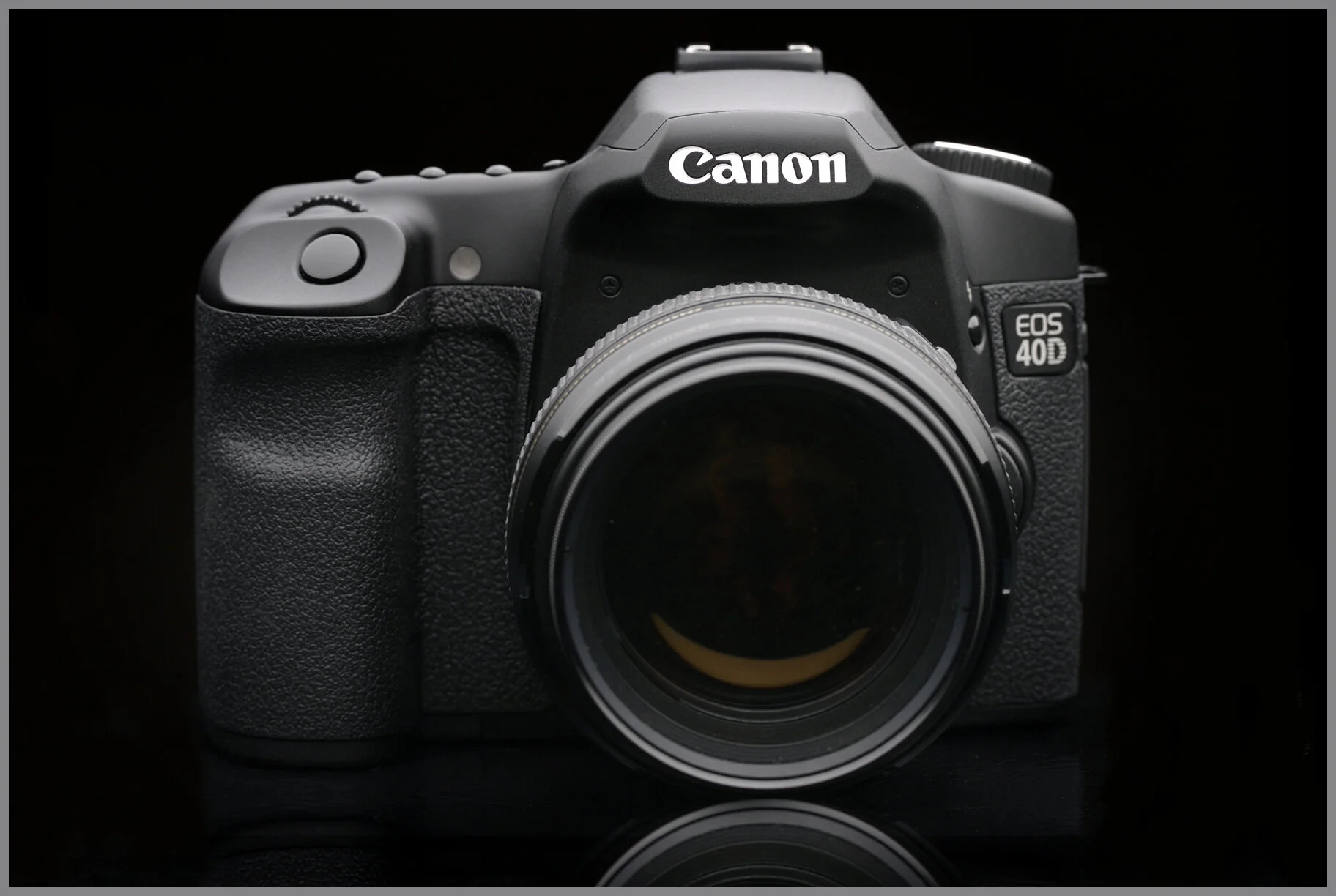Canon 40D_2346_4x6s.jpg