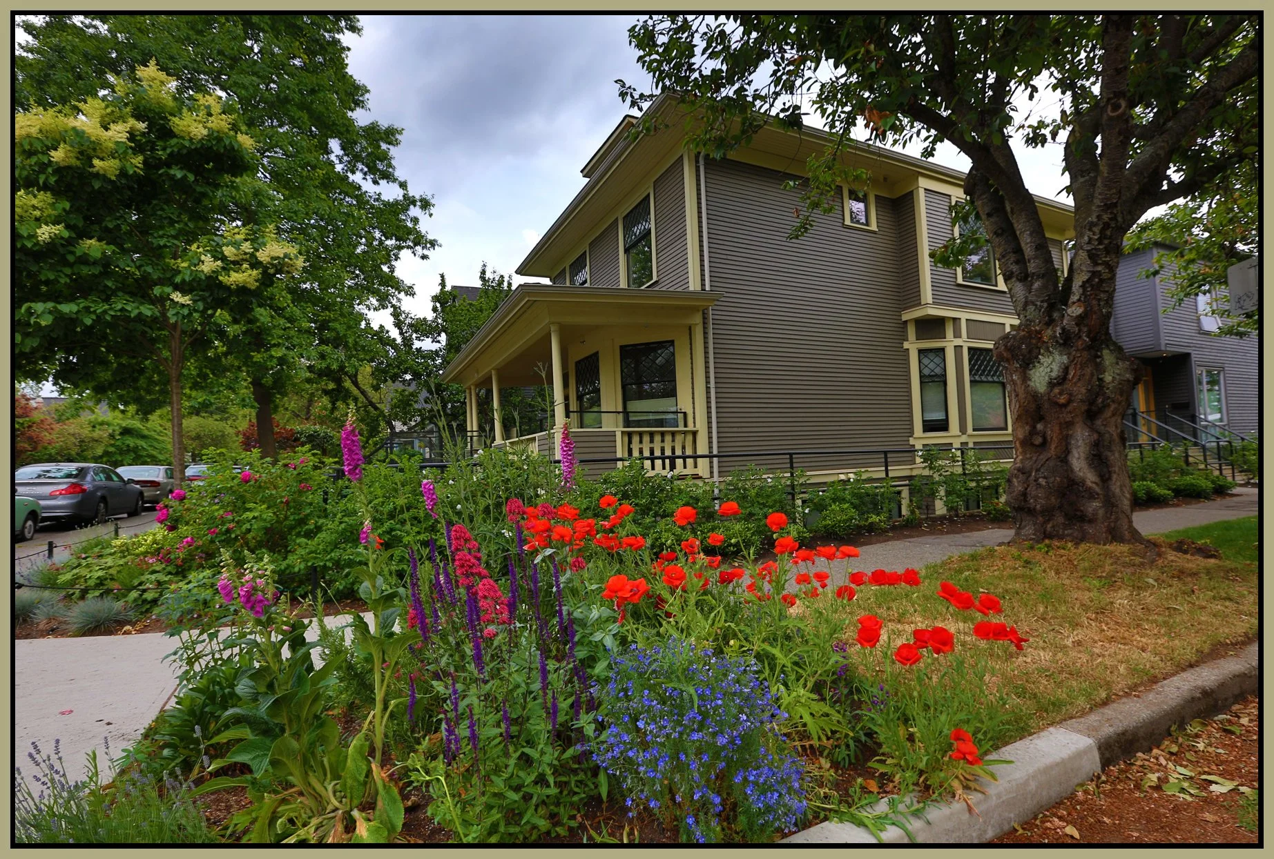 799 E Pender Flowers_May 18_2016_HDR_K3599_4x6s.jpg