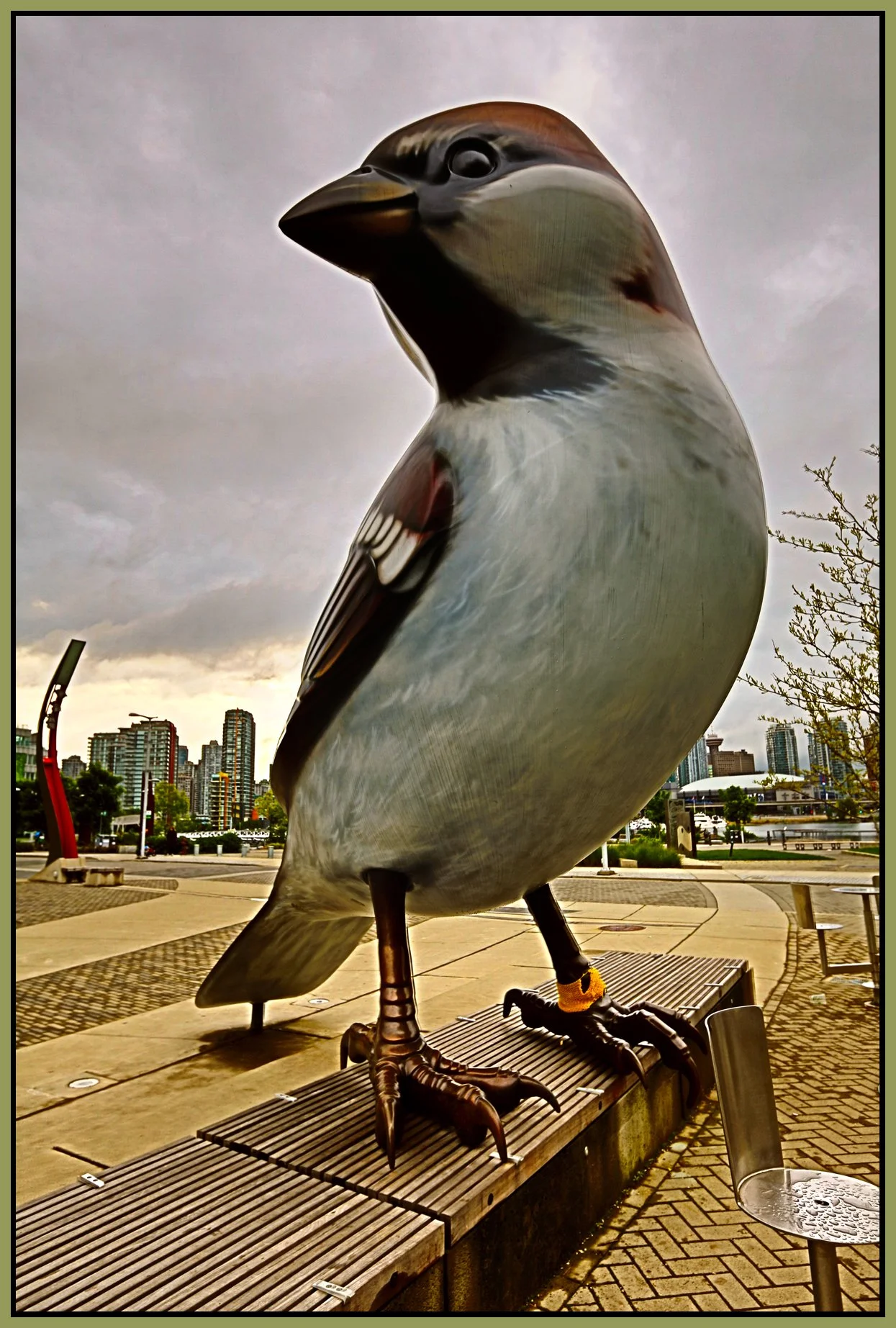 Olympic Village_May 21_2012_C1286vel_4x6s.jpg