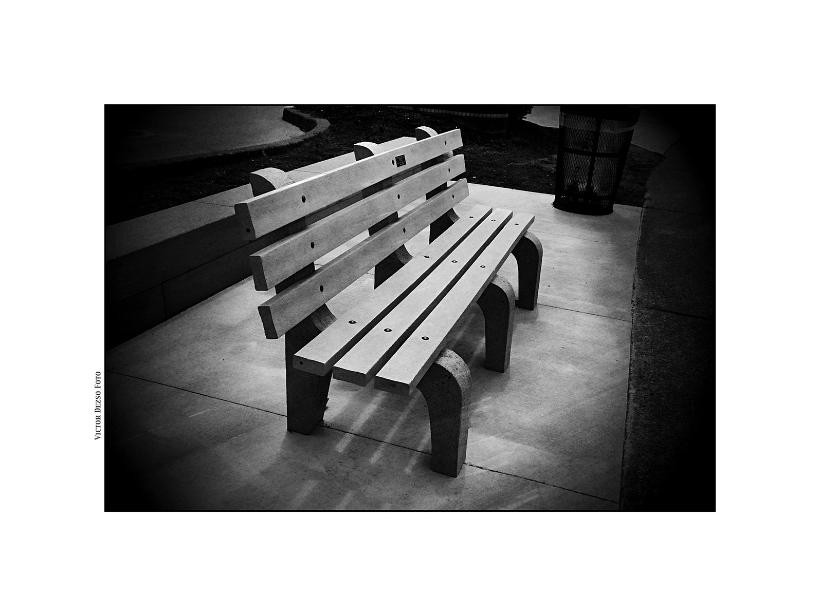 Bench in Richmond_Jul 9_2026_HDR_4L6556_peRFP_4x5s.jpg