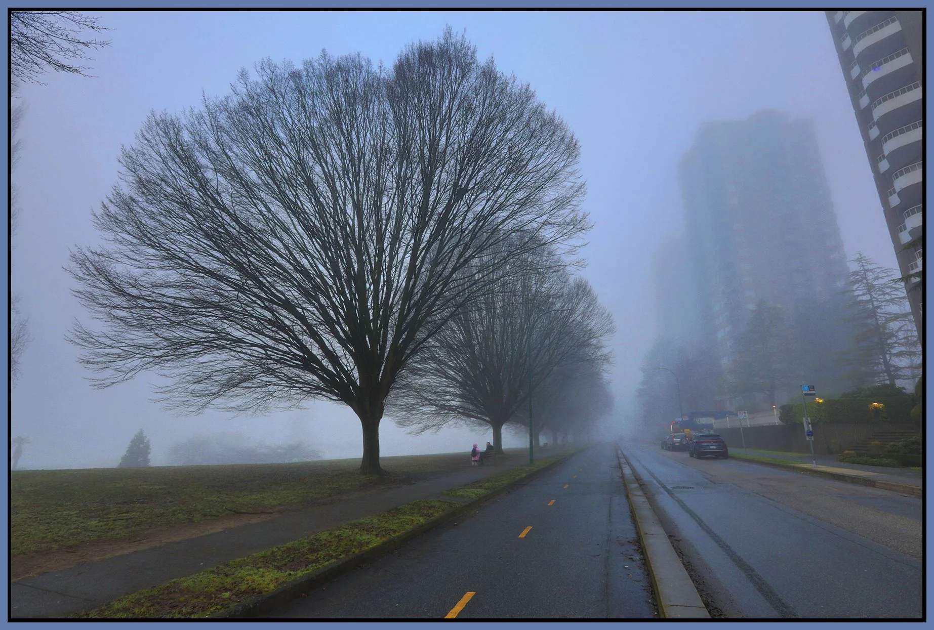 English Bay Trees on Beach Ave_Jan 19_2026_HDR_4K7298_peWater_4x6s.jpg