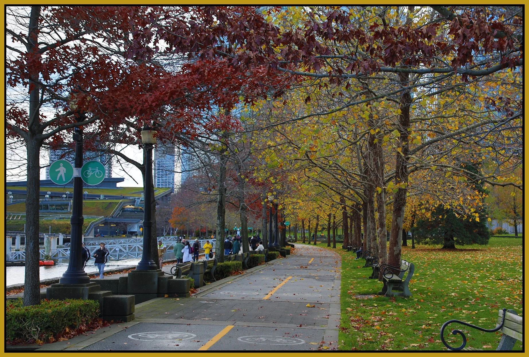 Harbour Green Park Walkway_Nov 12_2023_HDR_4H9085_4x6s.jpg