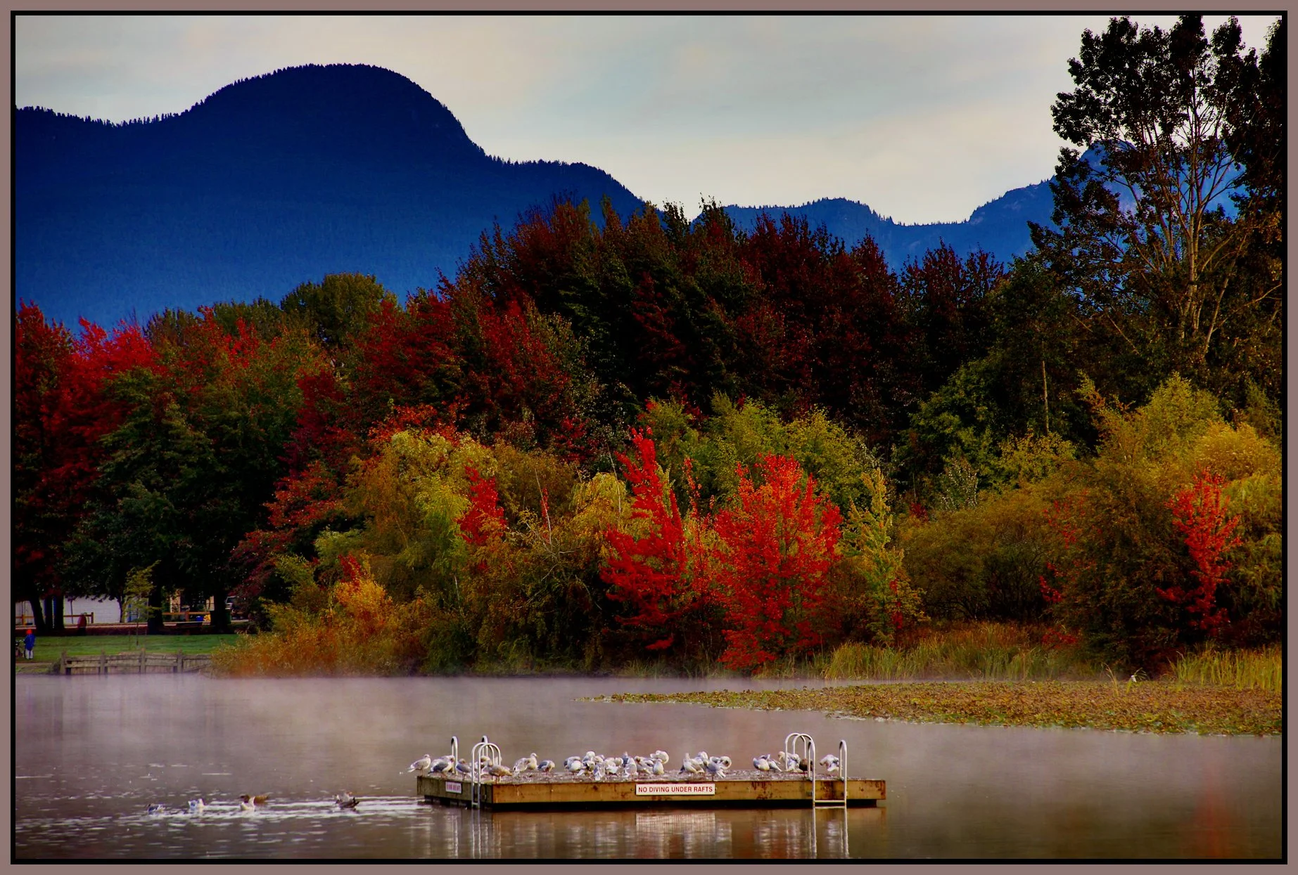 Trout Lake Trees_Oct 15_2015_HDR_H5245_4x6s.jpg