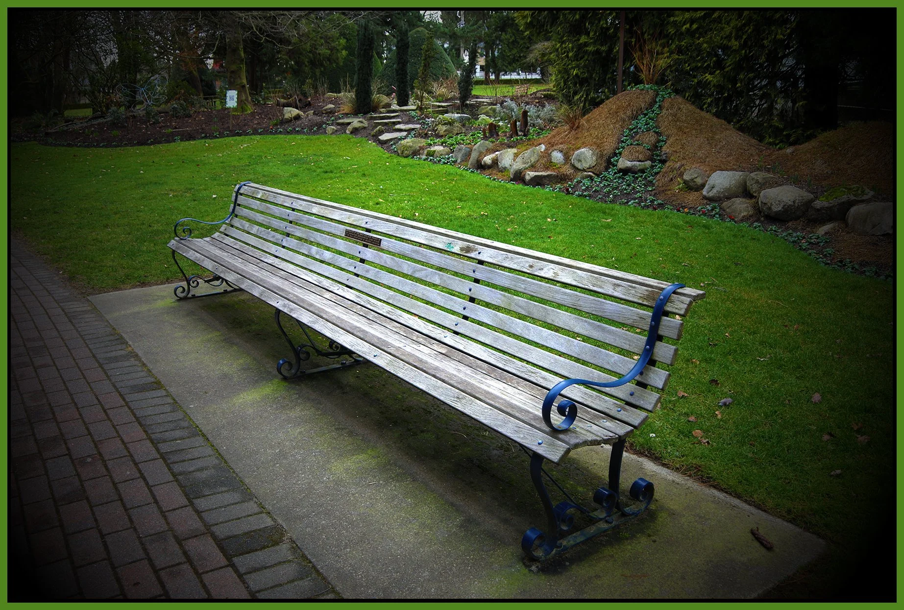 Long Bench in Queens Park_Feb 27_2025_CR2_5E0034_peIntense_4x6s.jpg