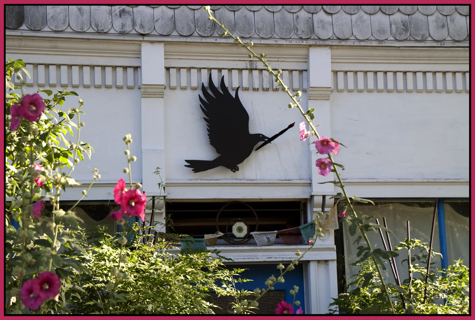 Black Bird_Keefer_July 24_2010_9800_4x6s.jpg