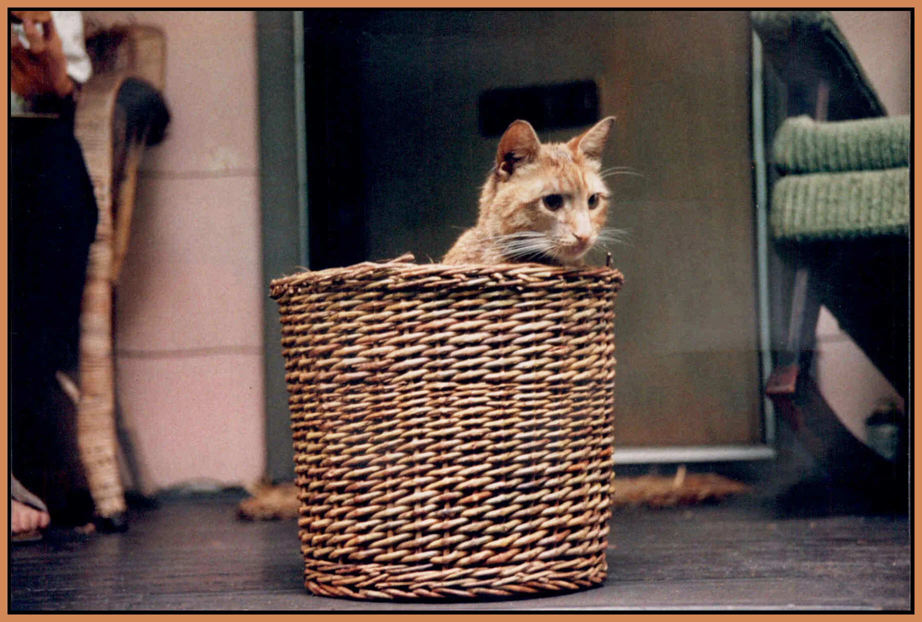 Maximum Templeton_4x6s.jpg