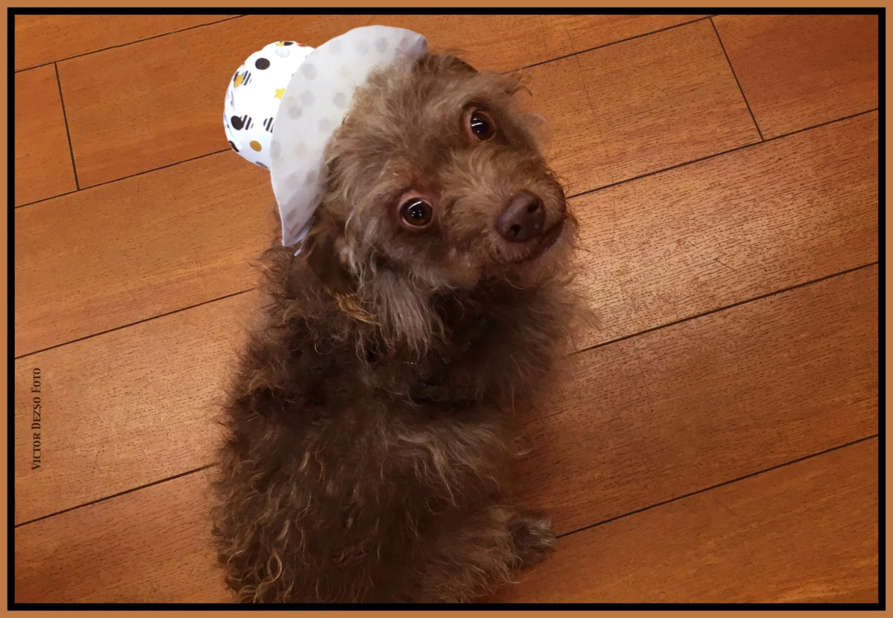 Frances with Cowboy Hat_Nov 23_2023_2762_4x6s.jpg