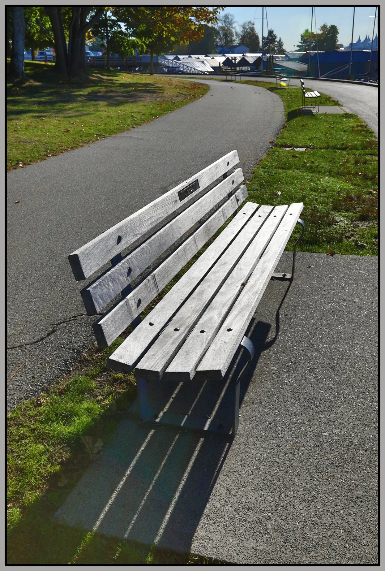 Bench in Stanley Pk_Oct 3_2017_HDR_B8182_4x6s.jpg
