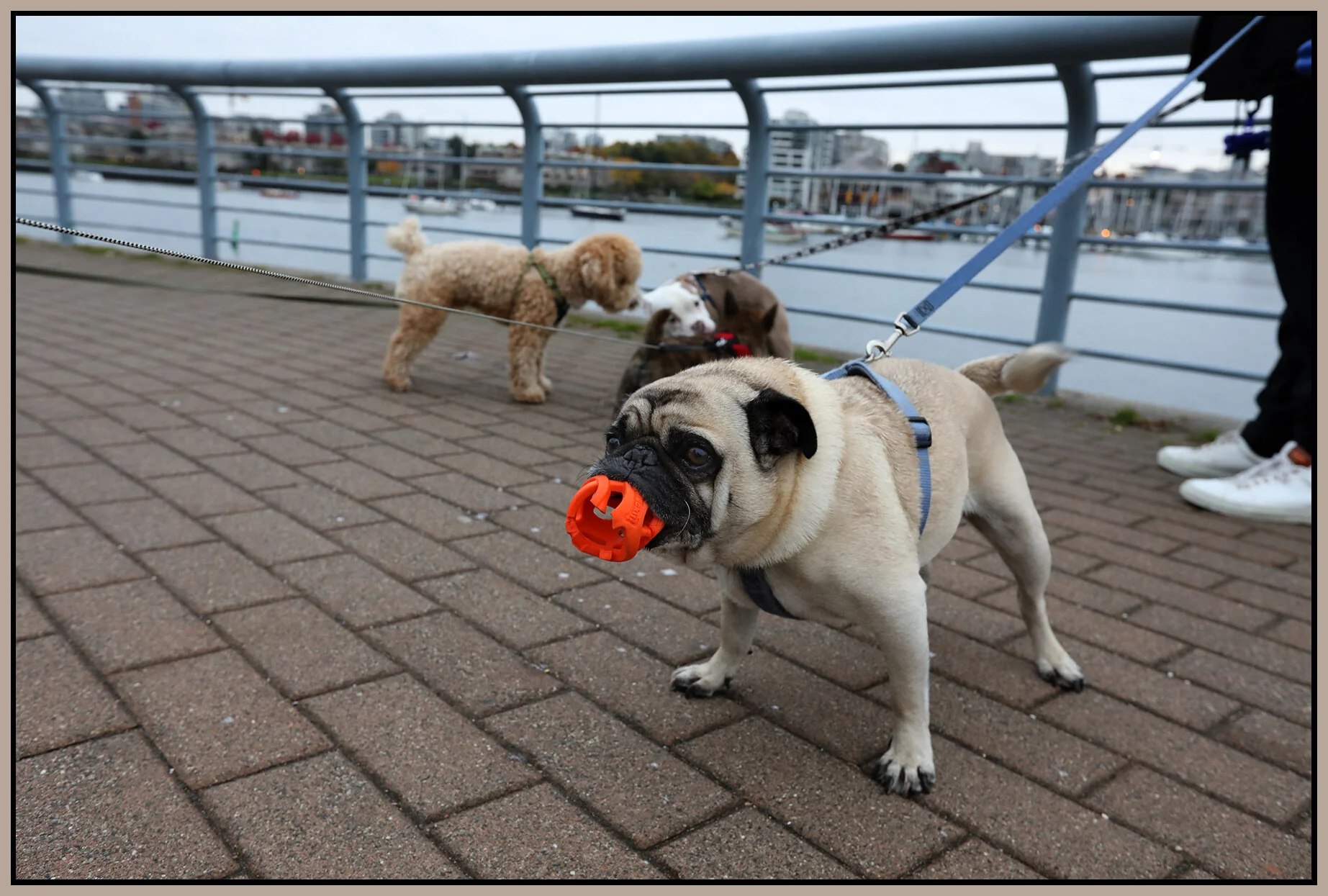 The Meet & Greet_Oct 28_2020_HDR_4G0320_4x6s.jpg