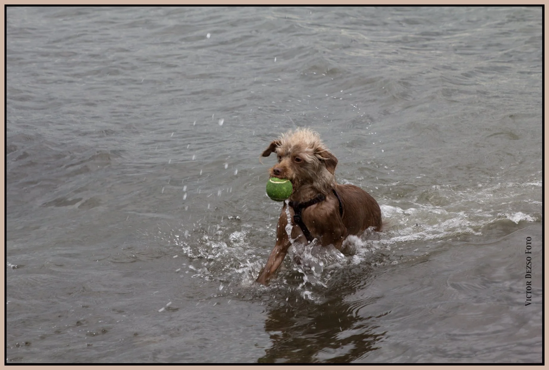 Frances at Spanish Banks_Mar 2_2016_8198_4x6ss.jpg