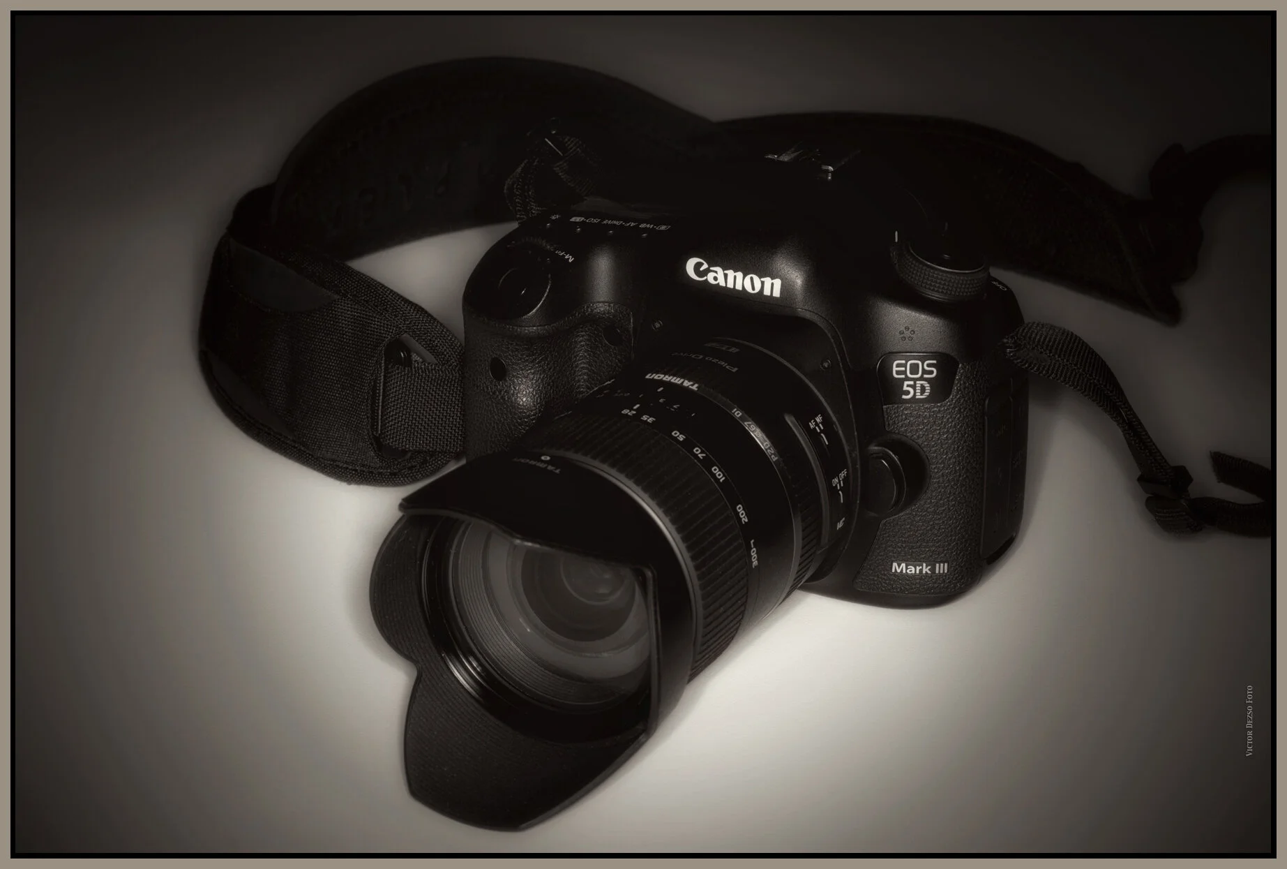 Canon 5DIII_Tamron 28-300_Dec 26_2014_7039_peSoftglowHollywood_4x6s.jpg
