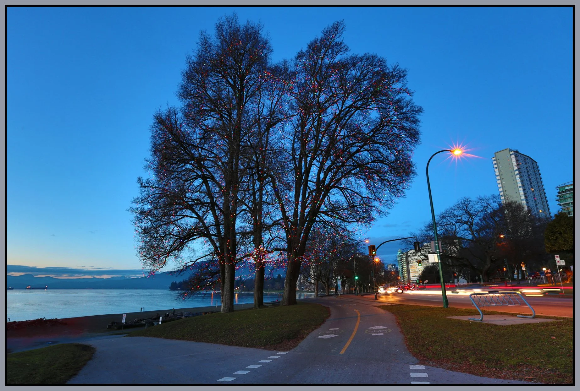 English Bay Trees_Jan 8_2016_HDR_K3062_4x6s.jpg