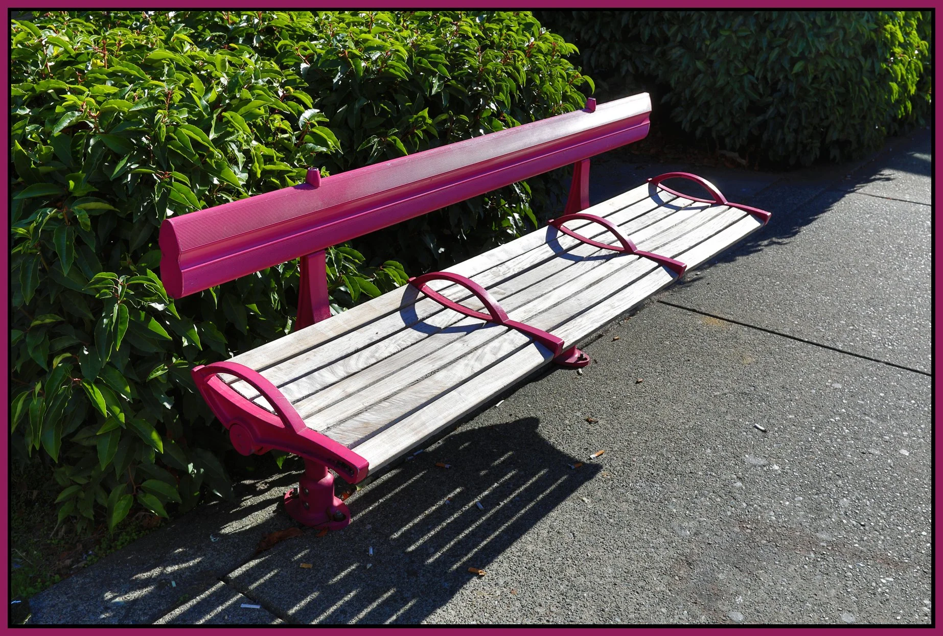Bench on Davie St_Oct 4_2017_HDR_B8570_4x6s.jpg