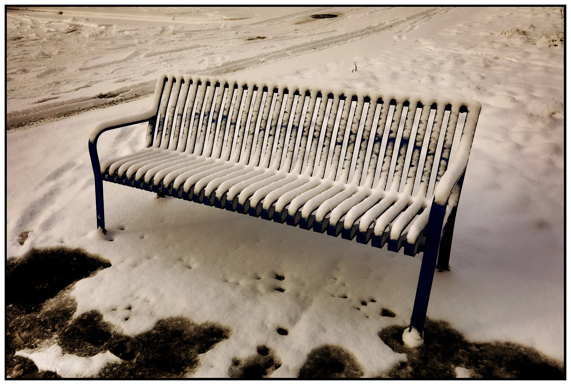 Bench at 1100 Franklin_Feb 11_2019_HDR_D8945_peCreamyShrp_Sat&Glo_4x6s.jpg