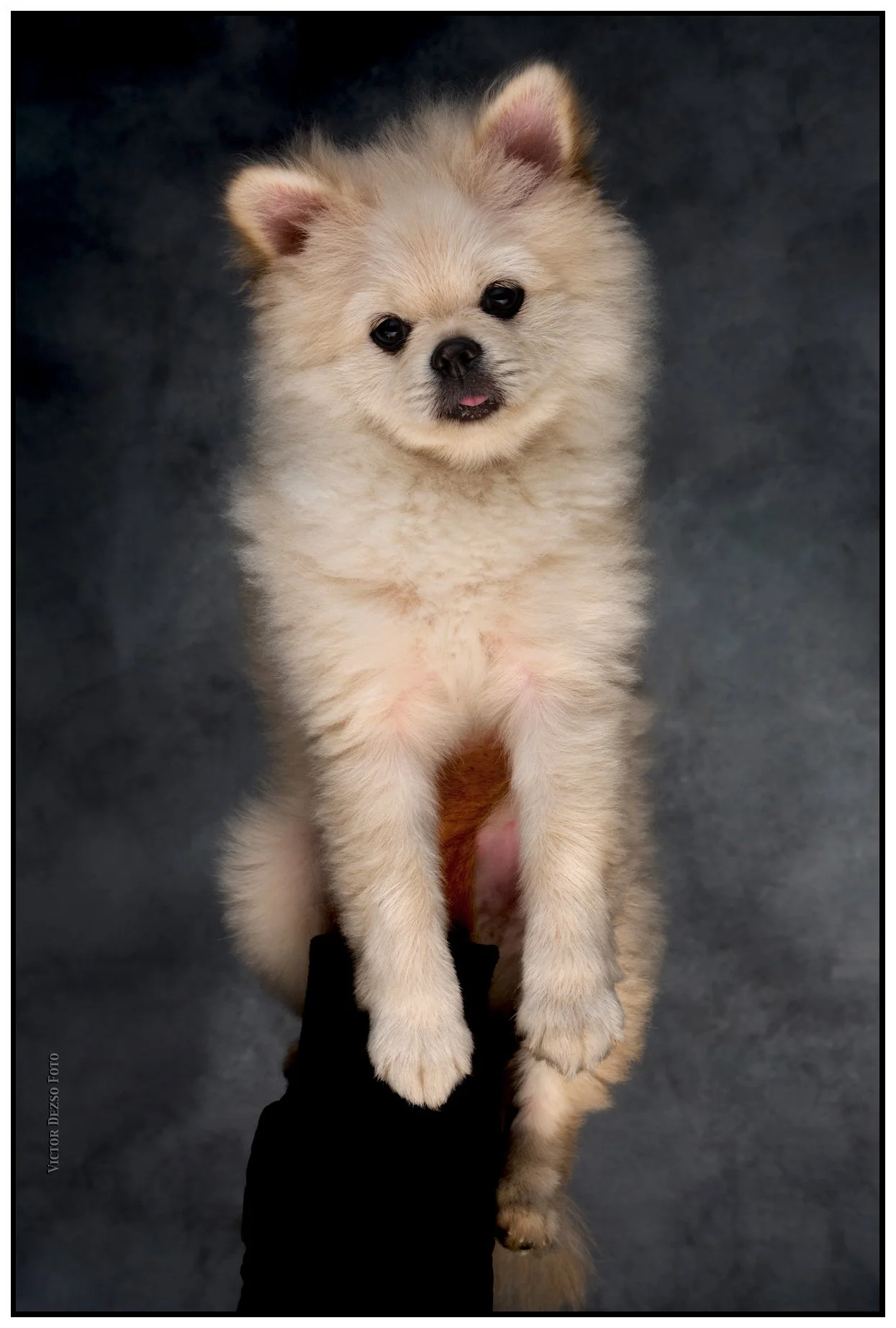 Merv_Feb 26_2016_K8748_peBij_4x6s.jpg