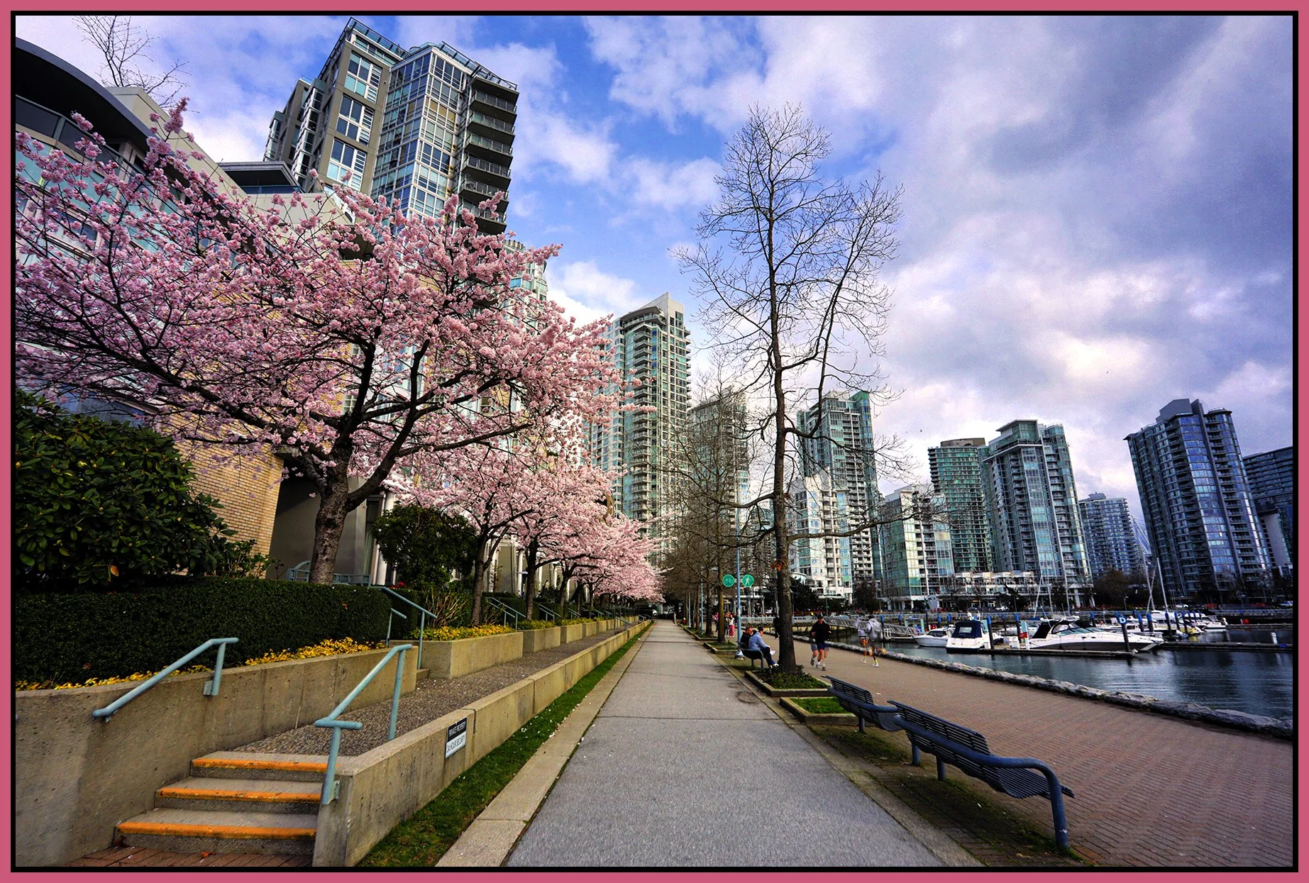 Concord Pacific Spring Bloom_Mar 22_2026_HDR_4K9947_peDeepened Exp_Hyperstrip_4x6s.jpg