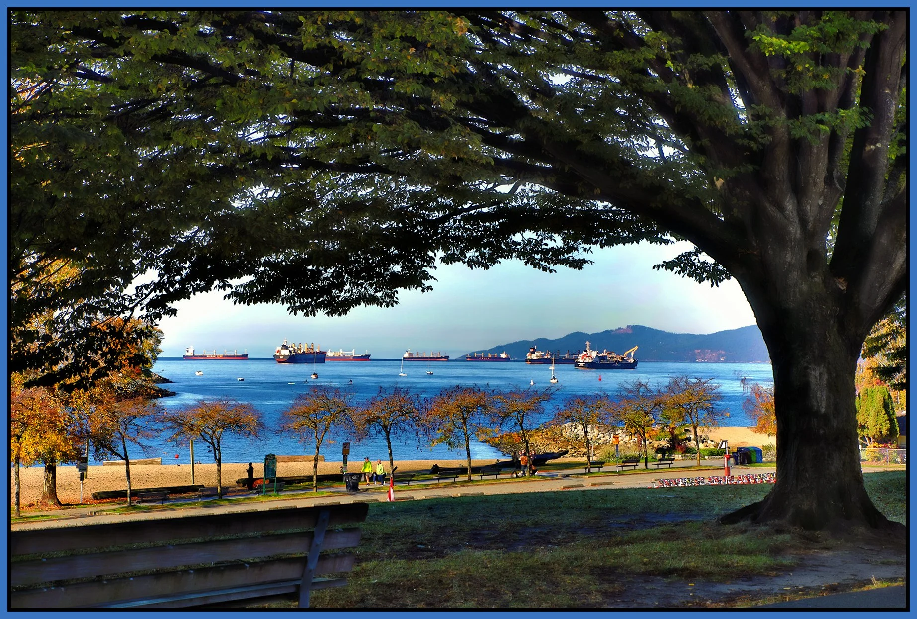 English Bay Trees from Beach Ave _Oct 23_2026_HDR_4L5485_peHypereal_Hyperstrip_4x6s.jpg