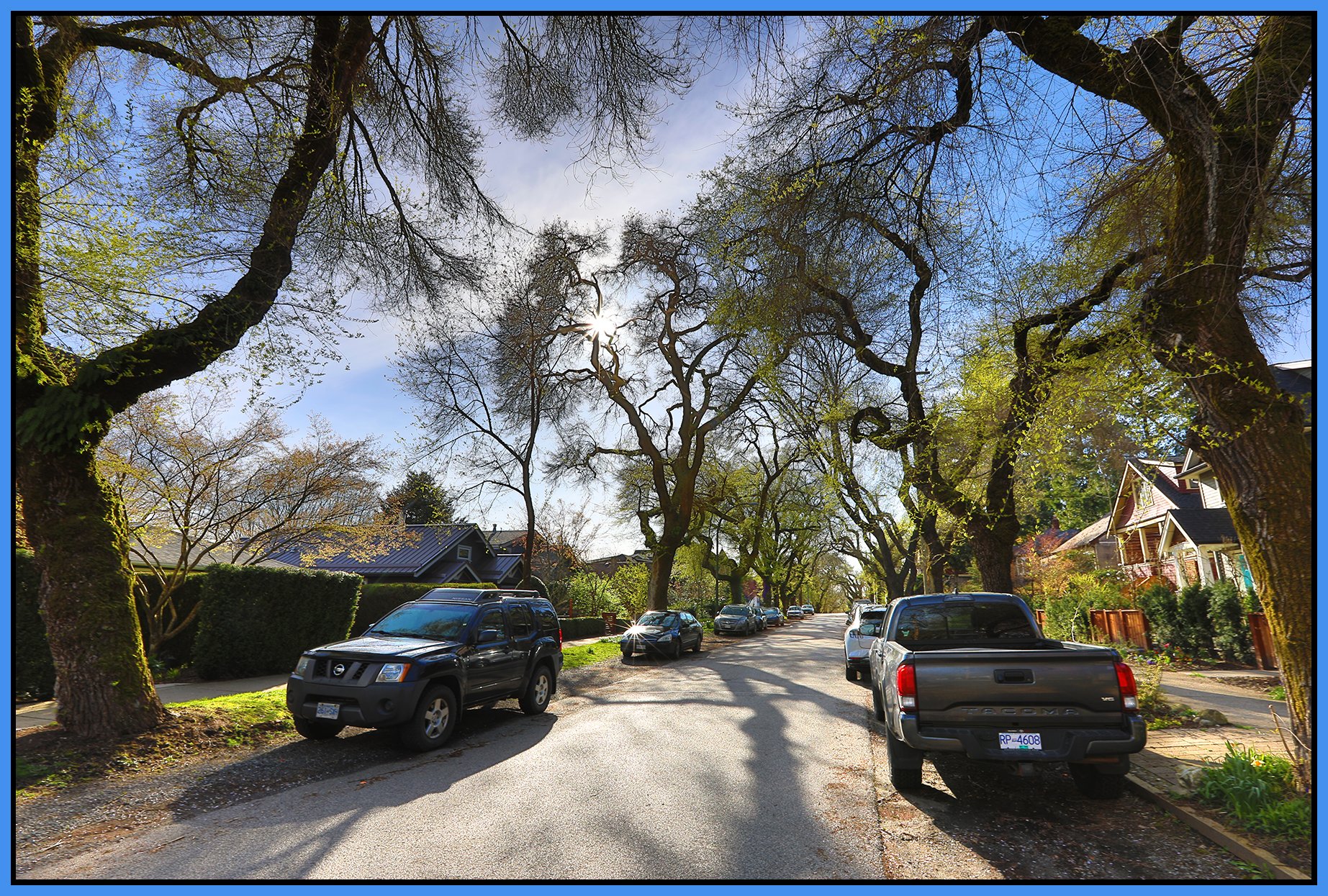 2100 E 6th Ave Trees LkgW_Apr 3_2024_HDR_4H6410_4x6s.jpg